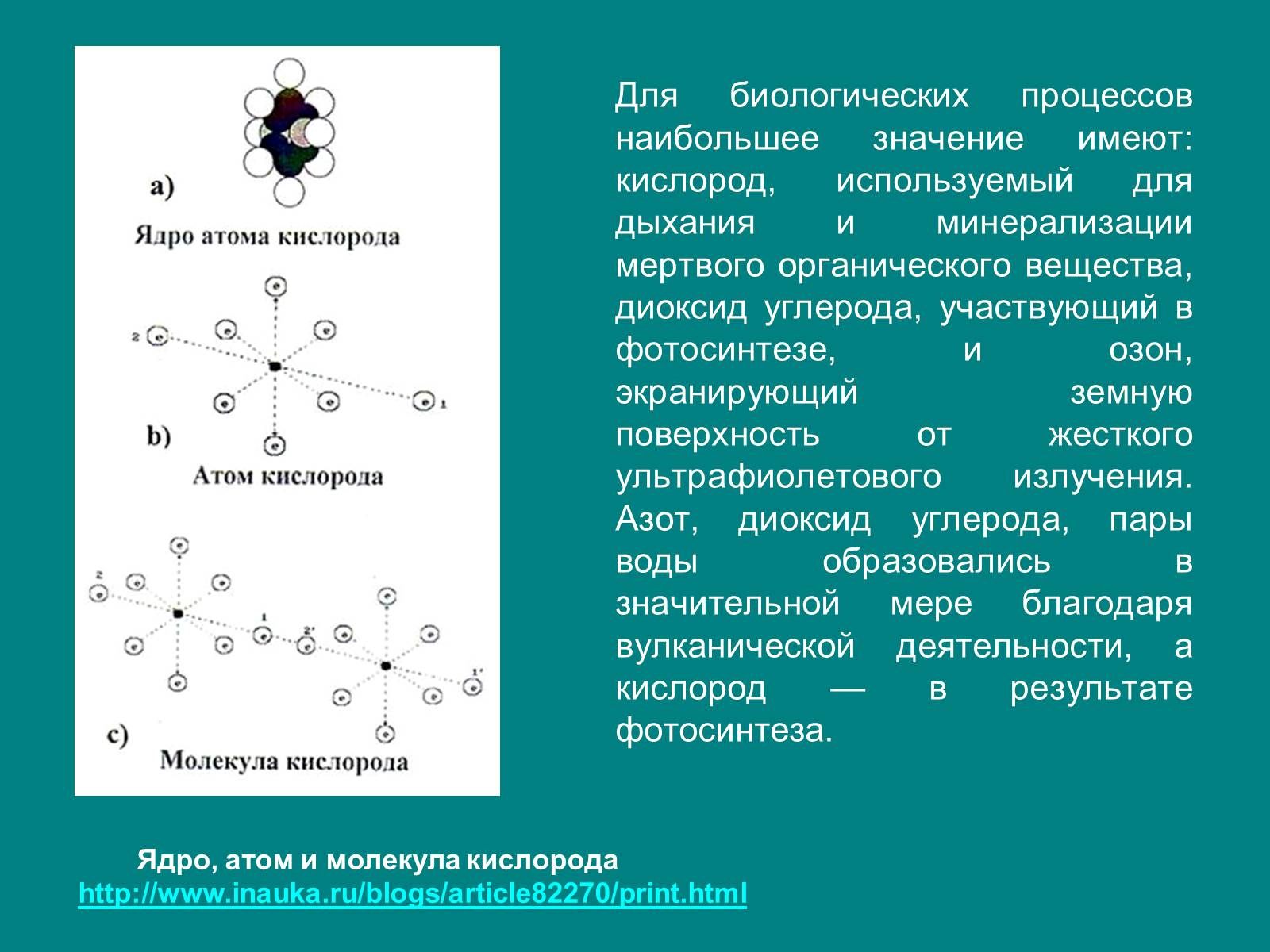 Презентація на тему «Структура биосферы» (варіант 1) - Слайд #8 Презентація на тему «Структура биосферы» (варіант 1) - Слайд #8