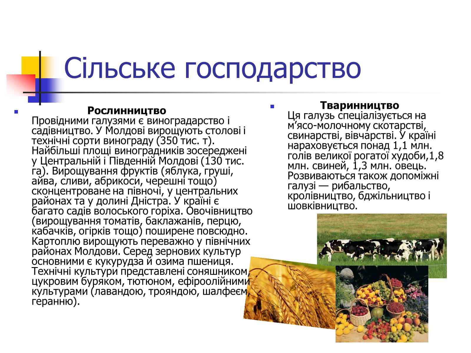 Презентація на тему «Промисловість Молдови» - Слайд #10 Презентація на тему «Промисловість Молдови» - Слайд #10
