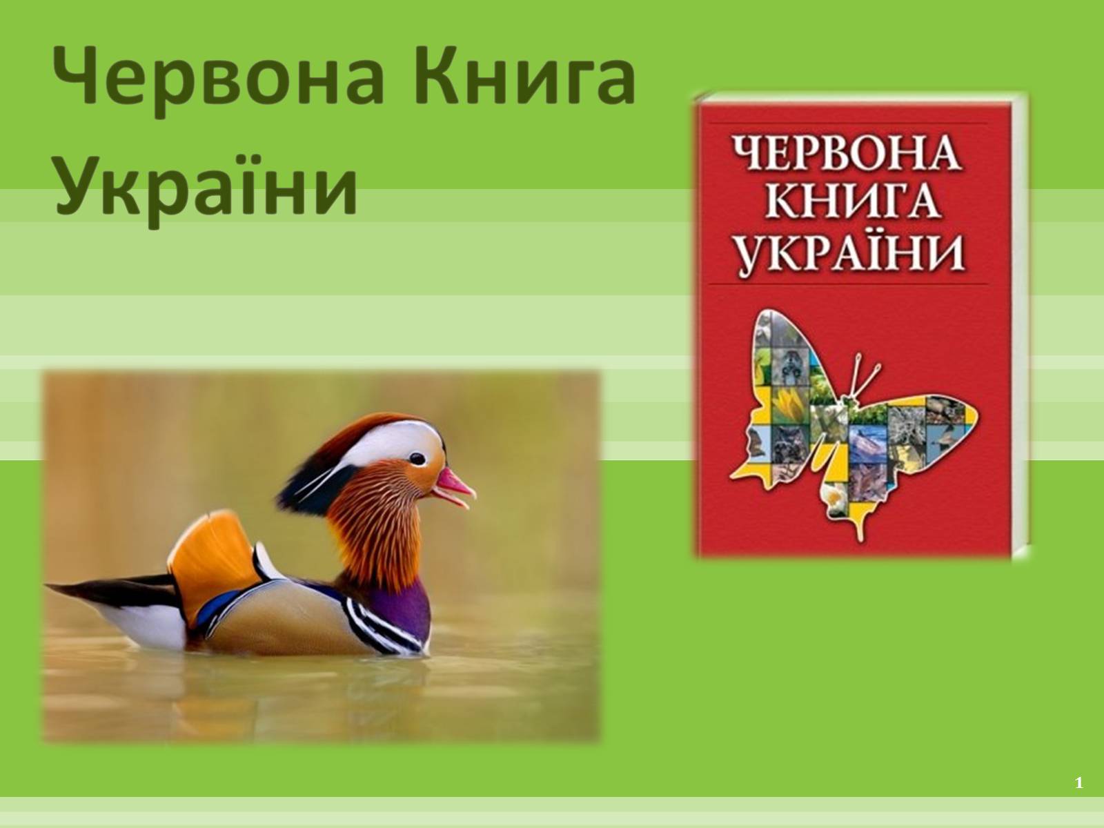 Презентація на тему «Червона Книга» (варіант 1) - Слайд #1 Презентація на тему «Червона Книга» (варіант 1) - Слайд #1