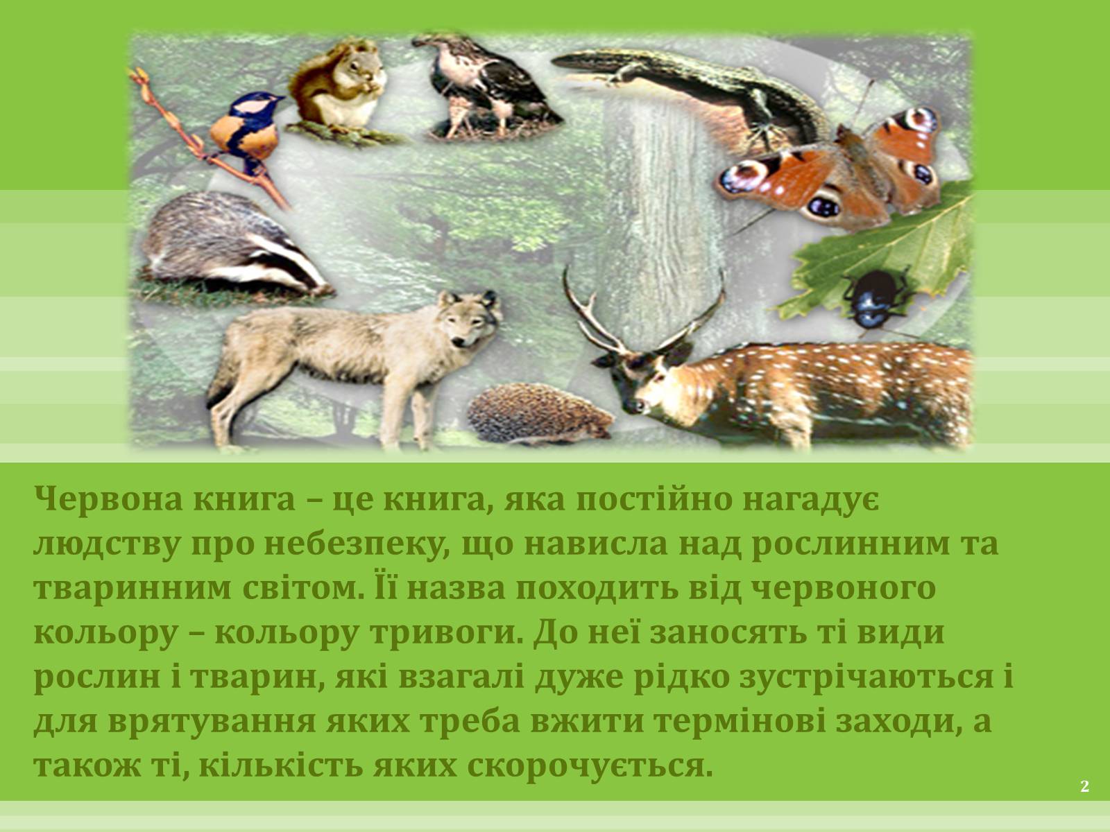 Презентація на тему «Червона Книга» (варіант 1) - Слайд #2 Презентація на тему «Червона Книга» (варіант 1) - Слайд #2