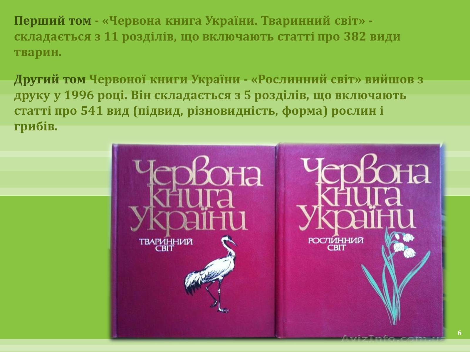 Презентація на тему «Червона Книга» (варіант 1) - Слайд #6 Презентація на тему «Червона Книга» (варіант 1) - Слайд #6