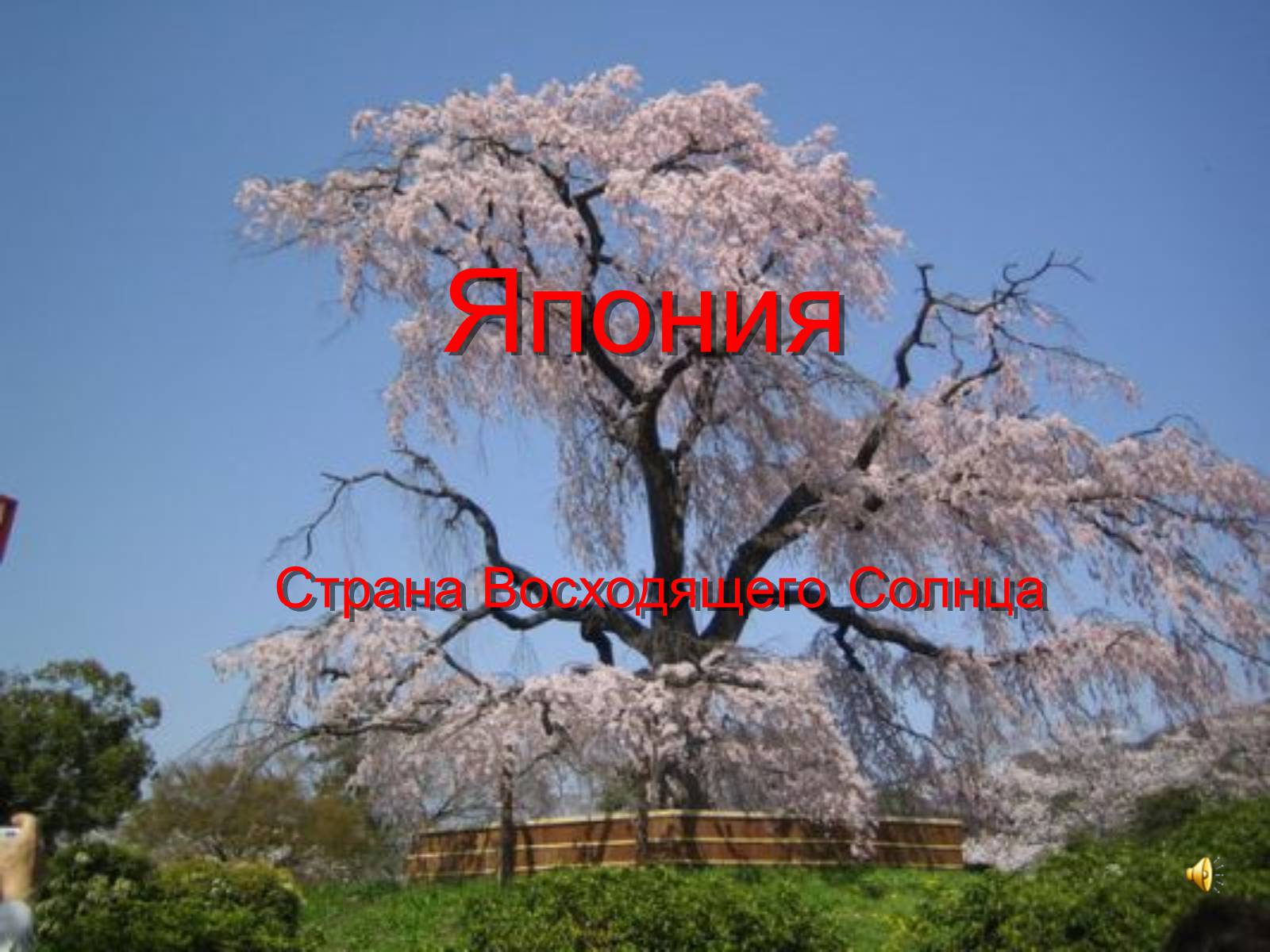 Презентація на тему «Японія» (варіант 36) - Слайд #1 Презентація на тему «Японія» (варіант 36) - Слайд #1