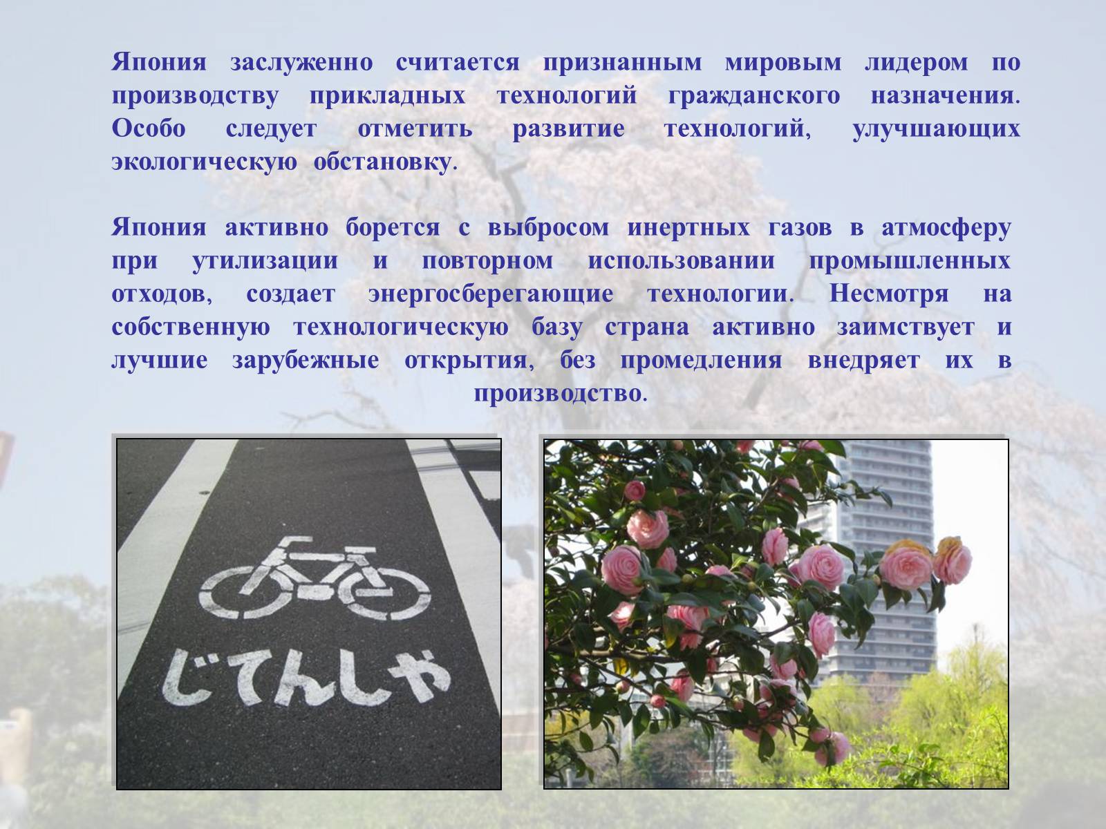 Презентація на тему «Японія» (варіант 36) - Слайд #12 Презентація на тему «Японія» (варіант 36) - Слайд #12