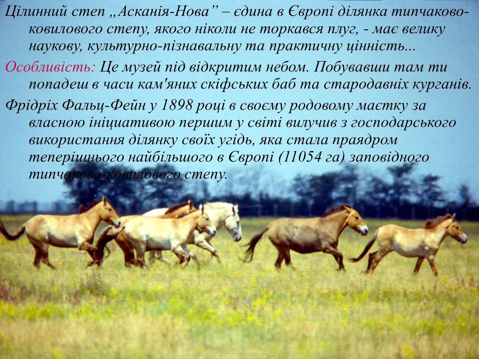 Презентація на тему «Екотуристичні об’єкти світу» - Слайд #3 Презентація на тему «Екотуристичні об’єкти світу» - Слайд #3
