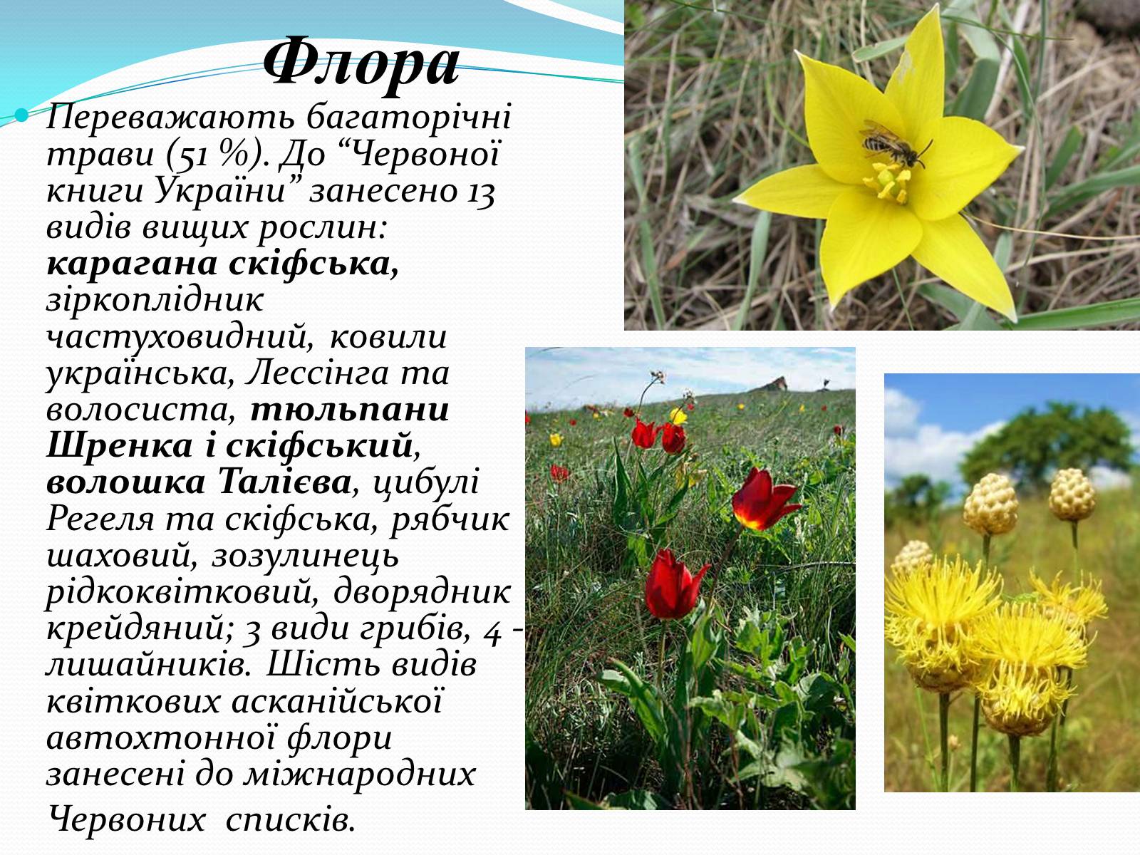 Презентація на тему «Екотуристичні об’єкти світу» - Слайд #5 Презентація на тему «Екотуристичні об’єкти світу» - Слайд #5