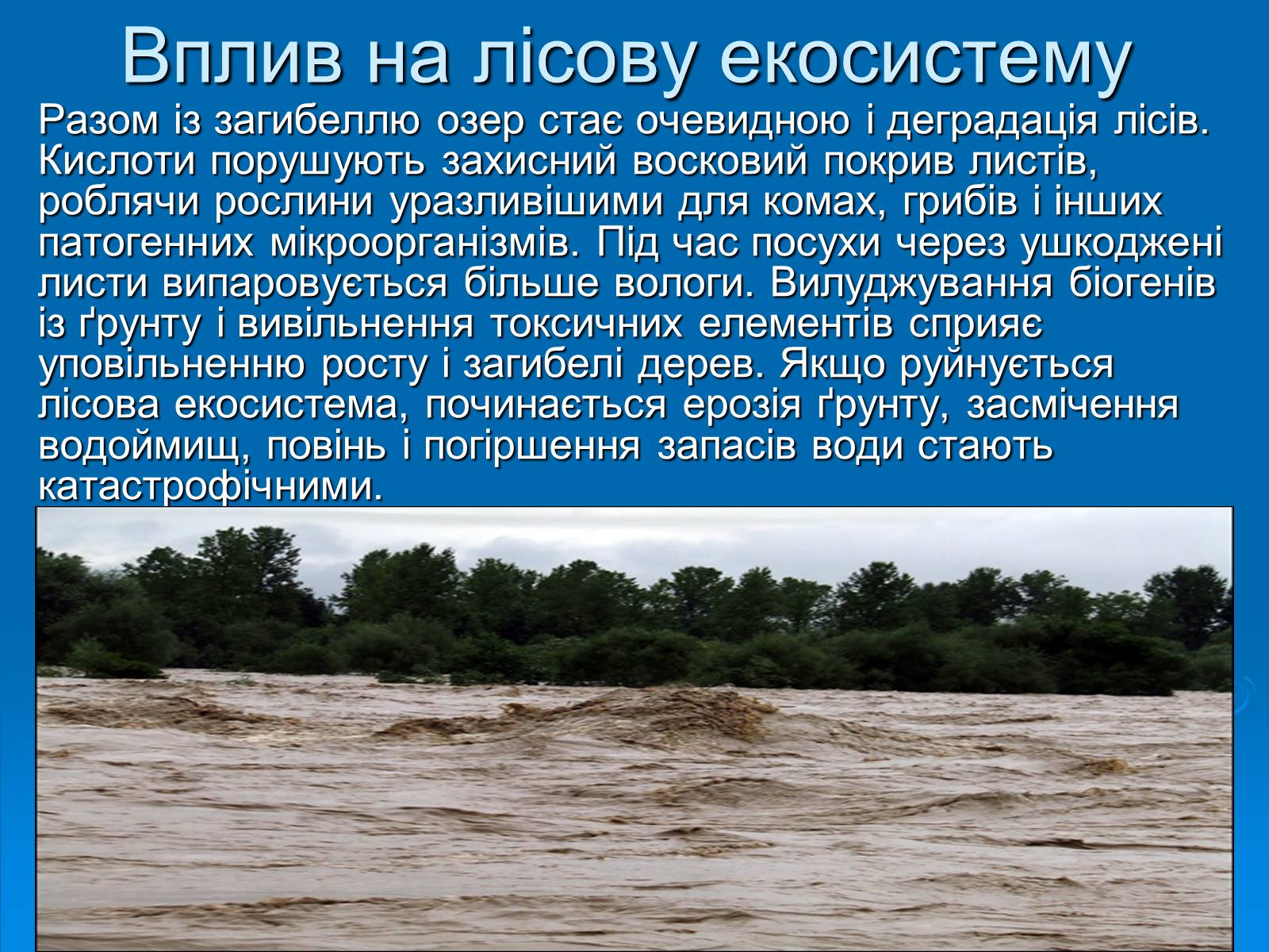 Презентація на тему «Кислотні дощі» (варіант 11) - Слайд #9 Презентація на тему «Кислотні дощі» (варіант 11) - Слайд #9