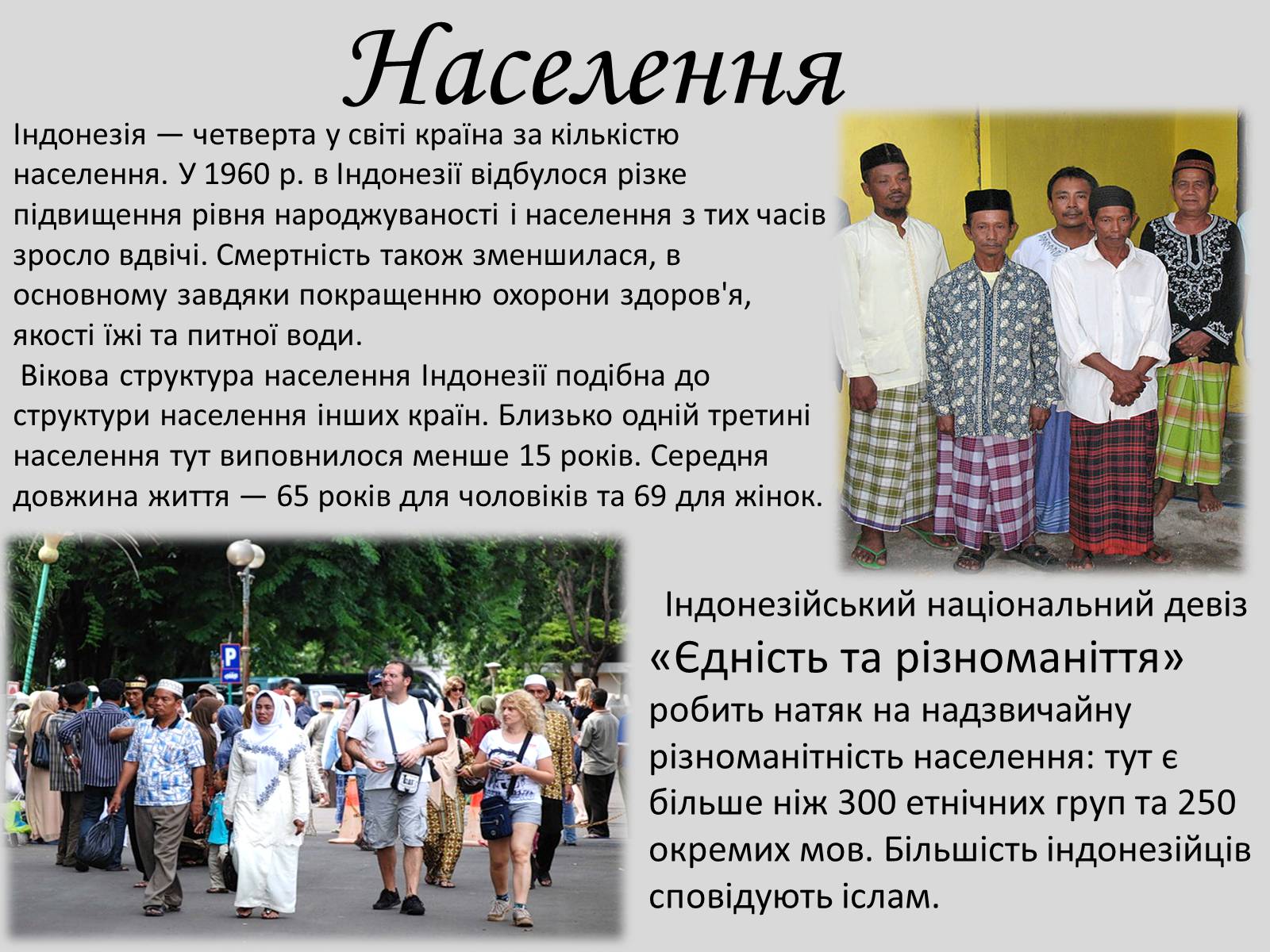 Презентація на тему «Індонезія» (варіант 1) - Слайд #4 Презентація на тему «Індонезія» (варіант 1) - Слайд #4