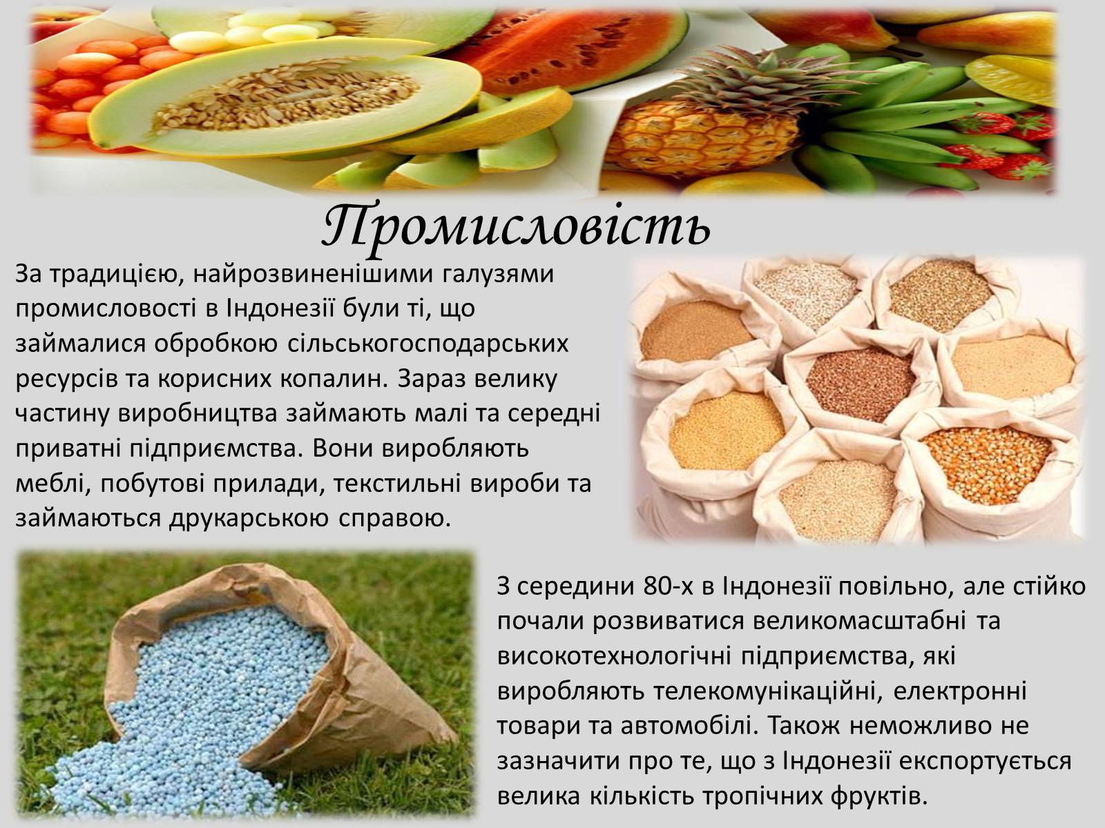 Презентація на тему «Індонезія» (варіант 1) - Слайд #6 Презентація на тему «Індонезія» (варіант 1) - Слайд #6