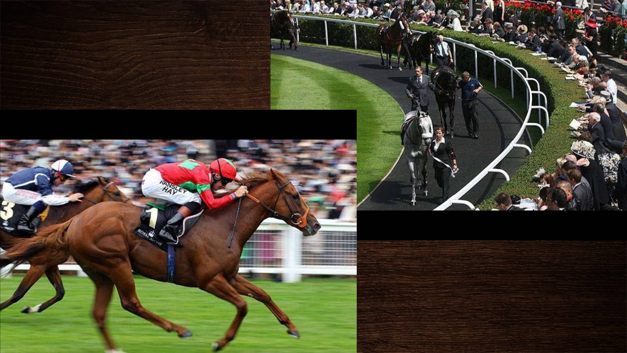 Презентація на тему «Royal Ascot» - Слайд #10 Презентація на тему «Royal Ascot» - Слайд #10