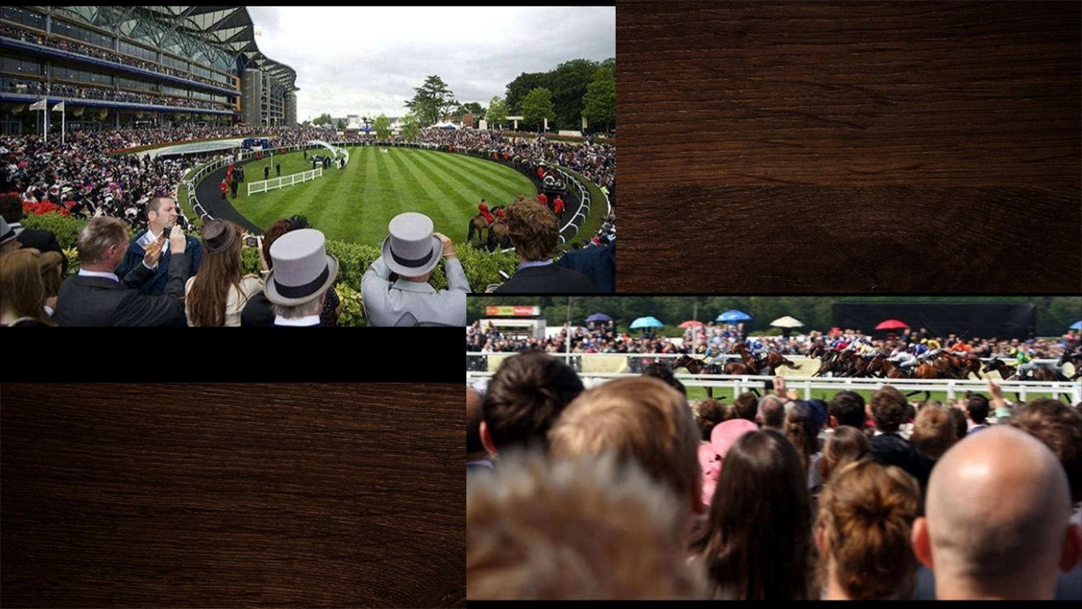 Презентація на тему «Royal Ascot» - Слайд #12 Презентація на тему «Royal Ascot» - Слайд #12