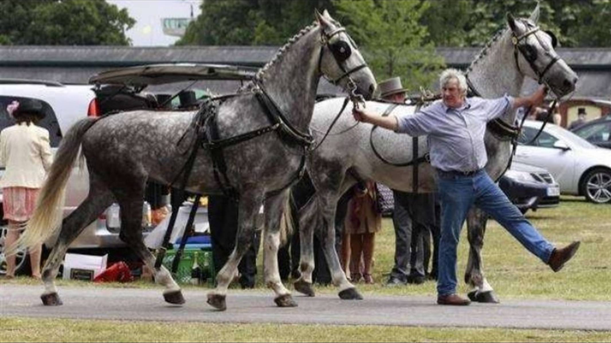 Презентація на тему «Royal Ascot» - Слайд #15 Презентація на тему «Royal Ascot» - Слайд #15