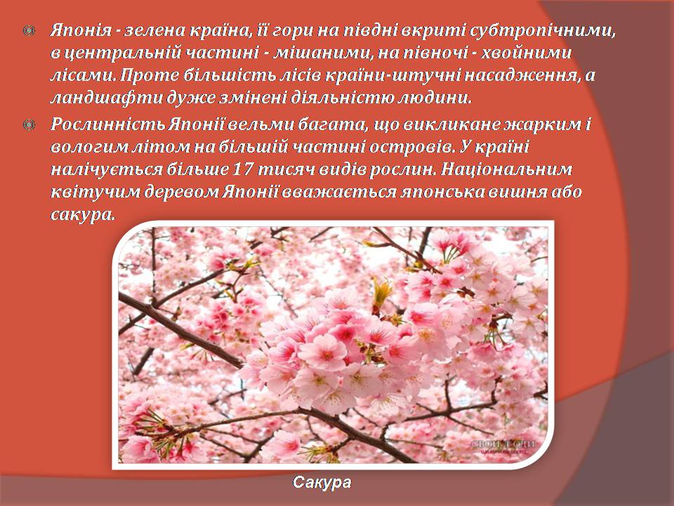 Презентація на тему «Японія» (варіант 59) - Слайд #14 Презентація на тему «Японія» (варіант 59) - Слайд #14