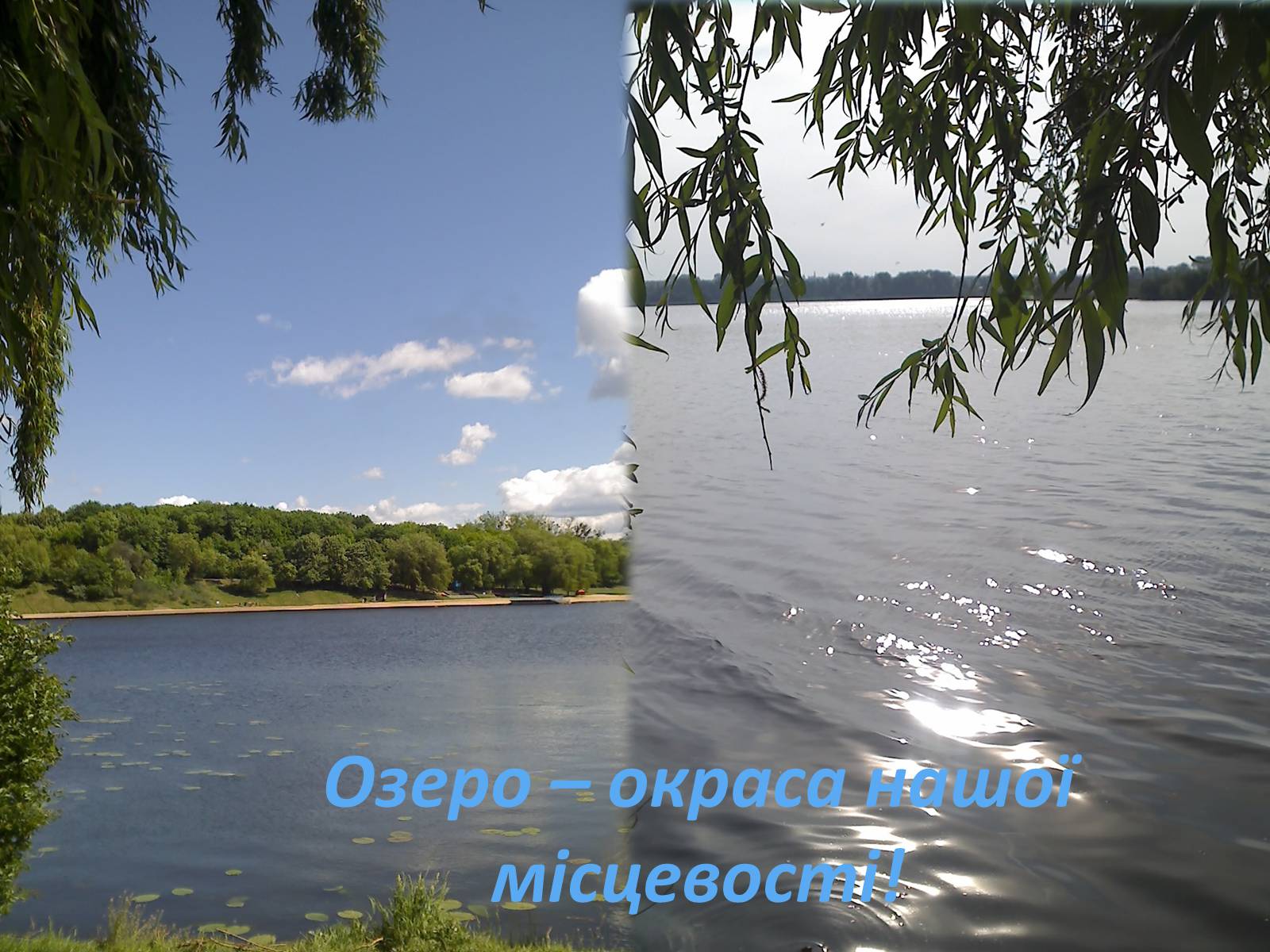 Презентація на тему «Господарі планети — ми, люди!» - Слайд #30 Презентація на тему «Господарі планети — ми, люди!» - Слайд #30