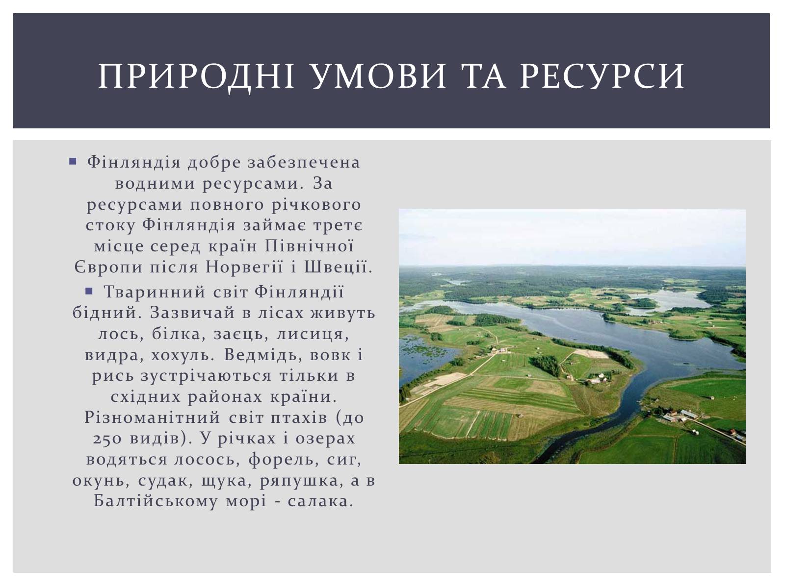 Презентація на тему «Фінляндська Республіка» - Слайд #6 Презентація на тему «Фінляндська Республіка» - Слайд #6