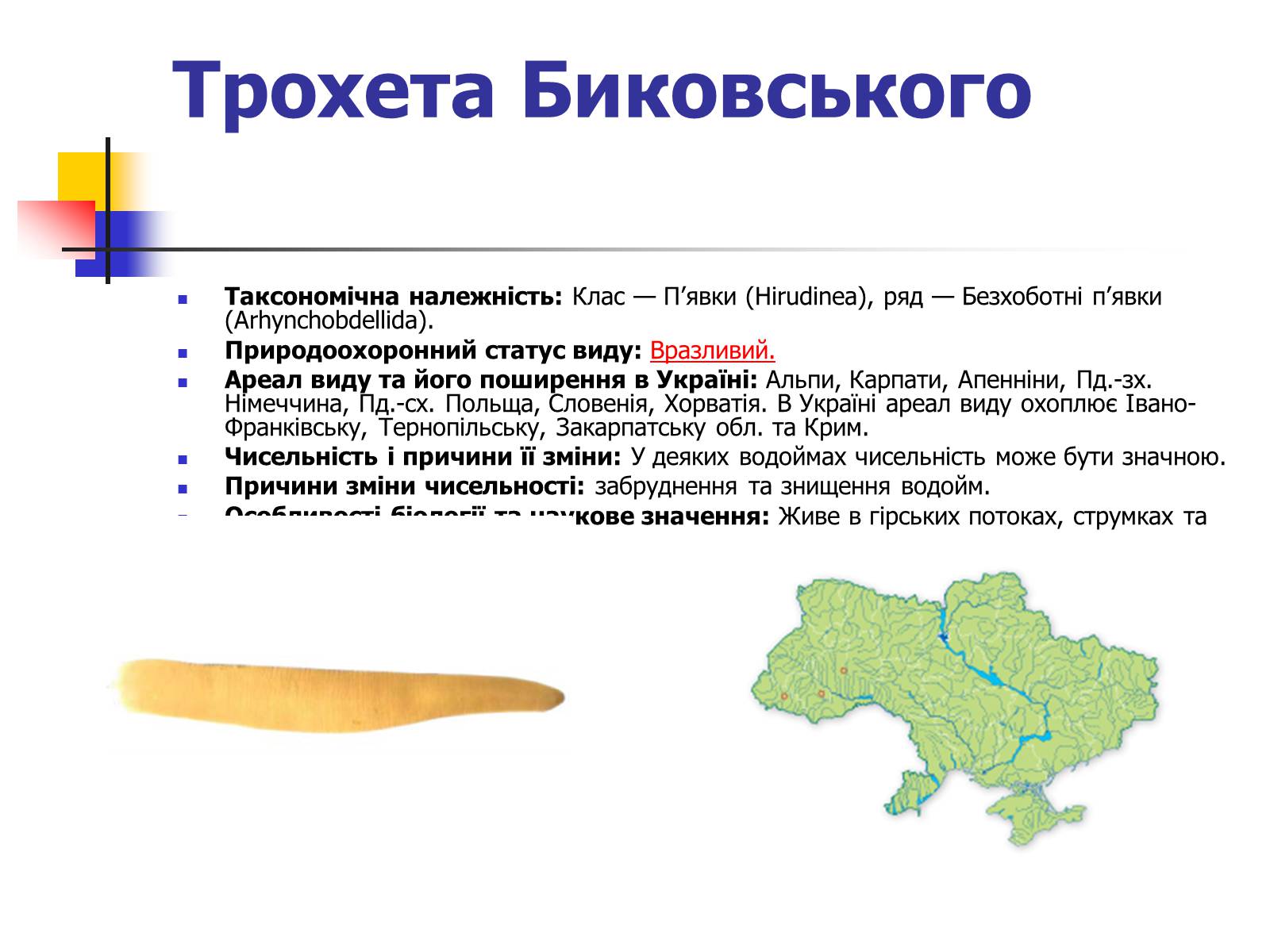 Презентація на тему «Червона книга України» (варіант 9) - Слайд #16 Презентація на тему «Червона книга України» (варіант 9) - Слайд #16