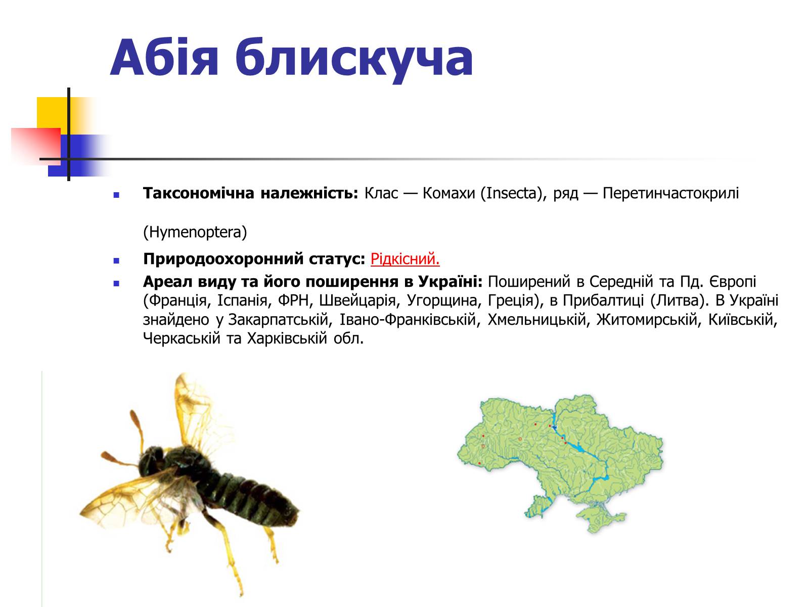 Презентація на тему «Червона книга України» (варіант 9) - Слайд #2 Презентація на тему «Червона книга України» (варіант 9) - Слайд #2