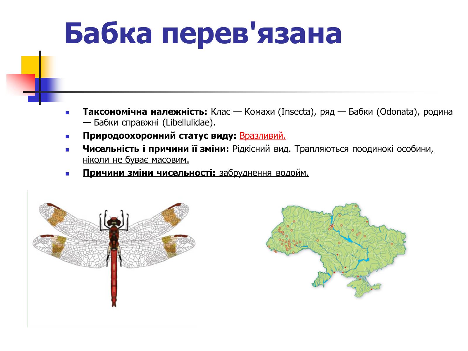 Презентація на тему «Червона книга України» (варіант 9) - Слайд #3 Презентація на тему «Червона книга України» (варіант 9) - Слайд #3