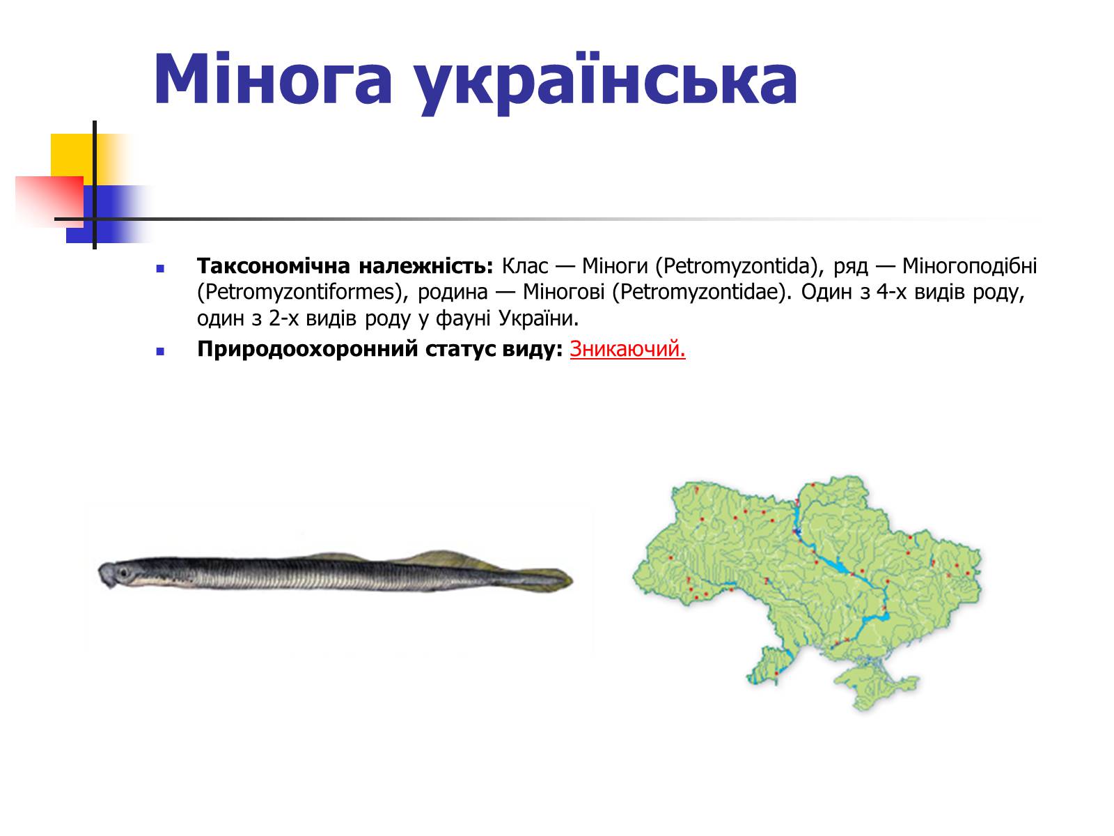 Презентація на тему «Червона книга України» (варіант 9) - Слайд #5 Презентація на тему «Червона книга України» (варіант 9) - Слайд #5