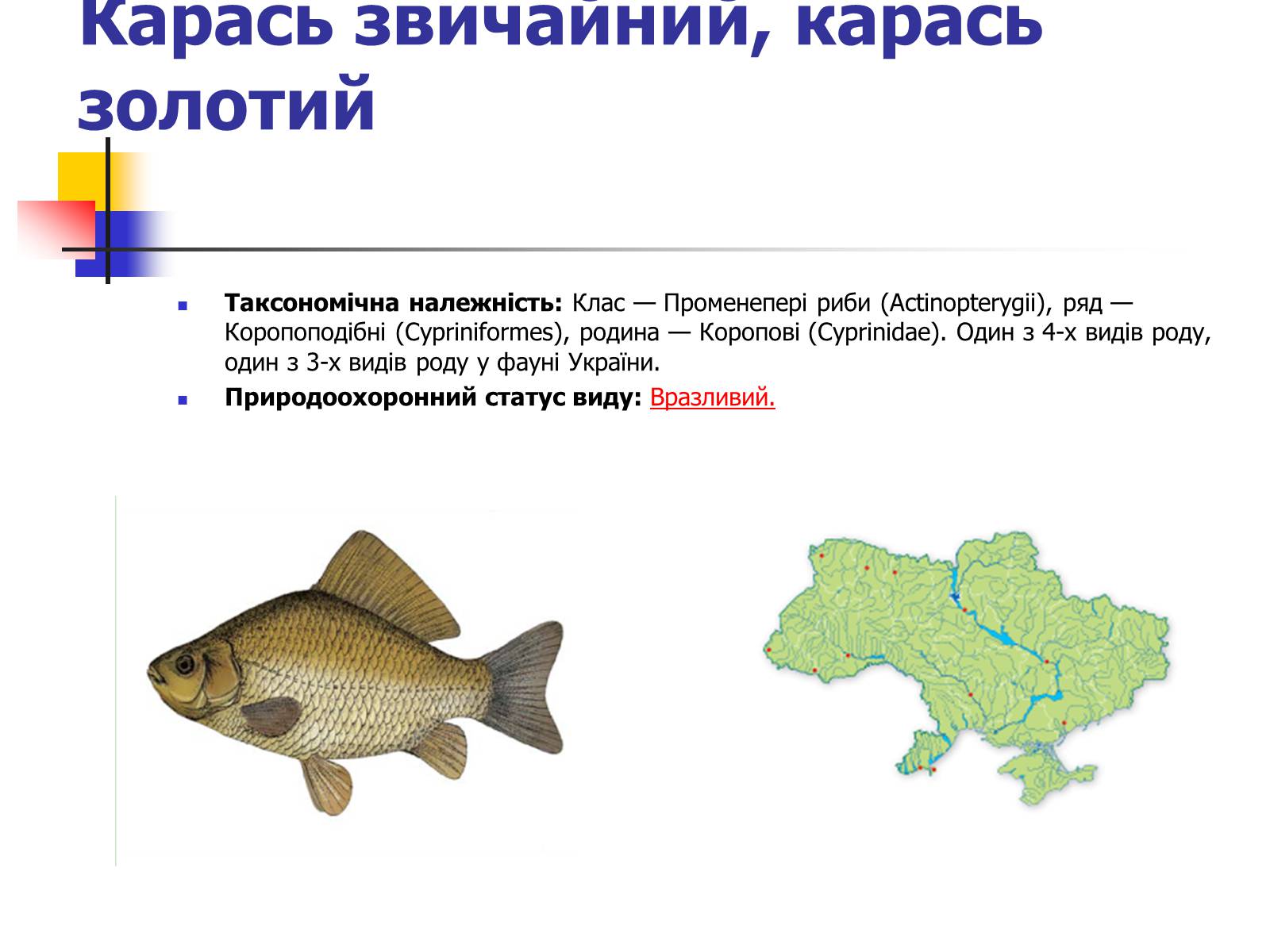Презентація на тему «Червона книга України» (варіант 9) - Слайд #6 Презентація на тему «Червона книга України» (варіант 9) - Слайд #6