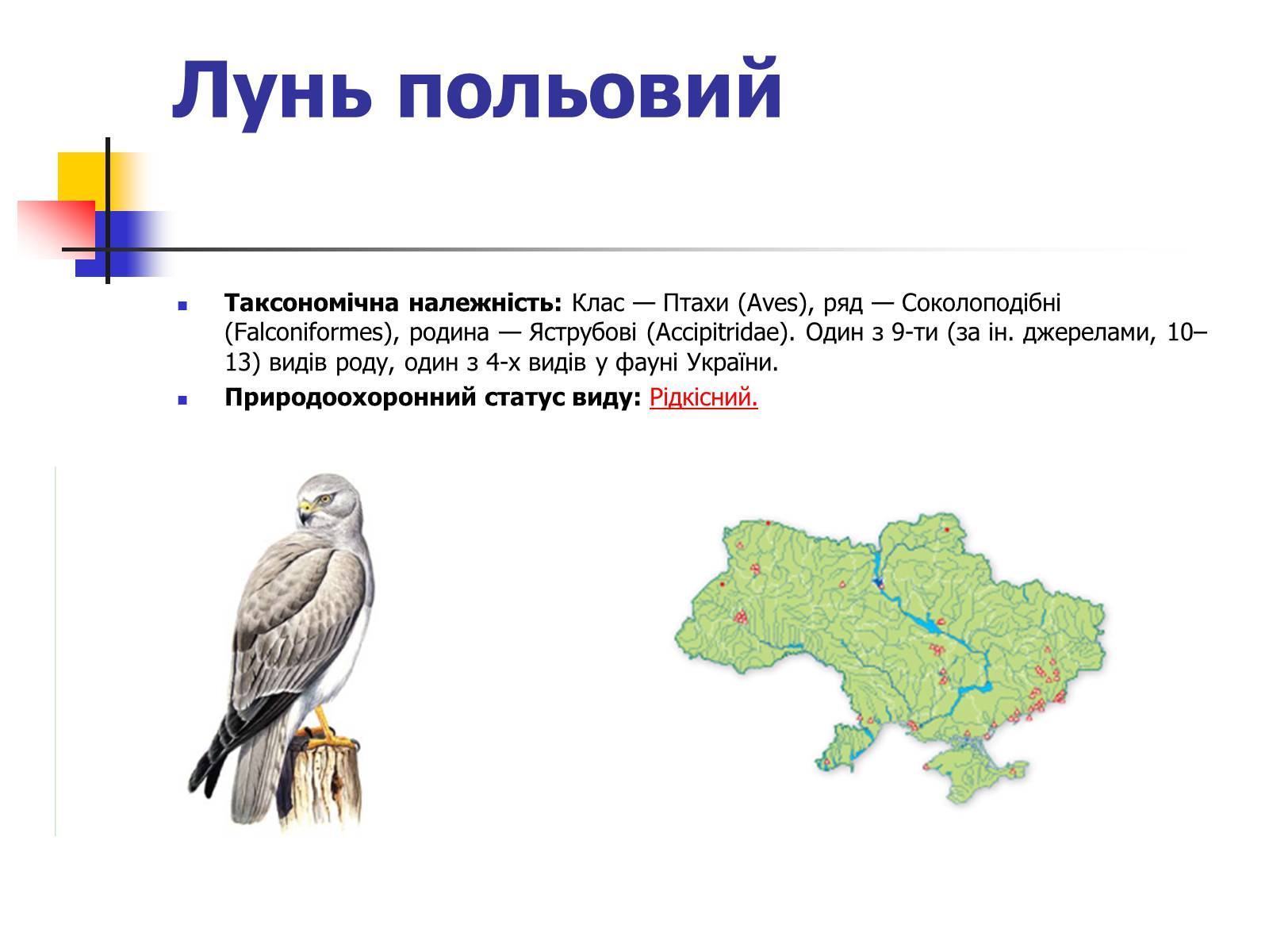 Презентація на тему «Червона книга України» (варіант 9) - Слайд #7 Презентація на тему «Червона книга України» (варіант 9) - Слайд #7