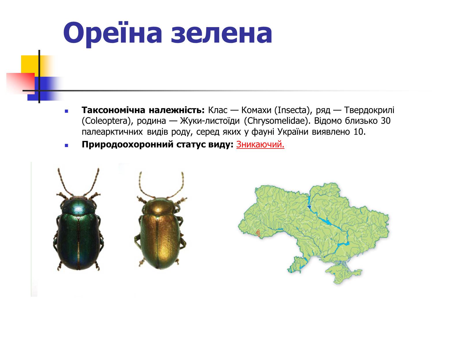Презентація на тему «Червона книга України» (варіант 9) - Слайд #8 Презентація на тему «Червона книга України» (варіант 9) - Слайд #8
