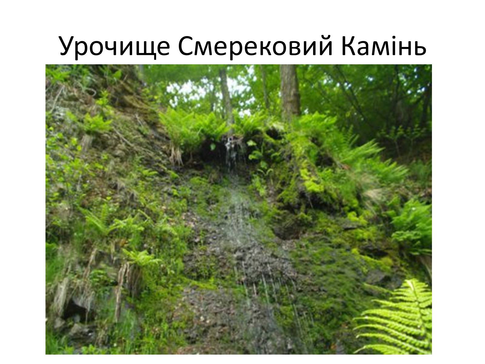 Презентація на тему «Зачарований край» - Слайд #6 Презентація на тему «Зачарований край» - Слайд #6