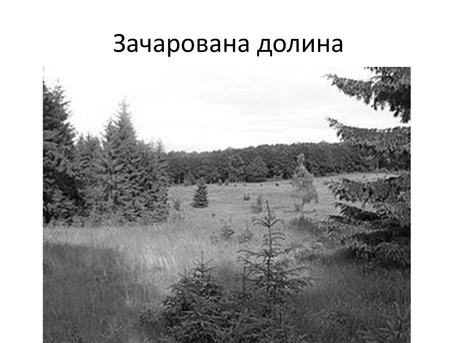 Презентація на тему «Зачарований край» - Слайд #8 Презентація на тему «Зачарований край» - Слайд #8