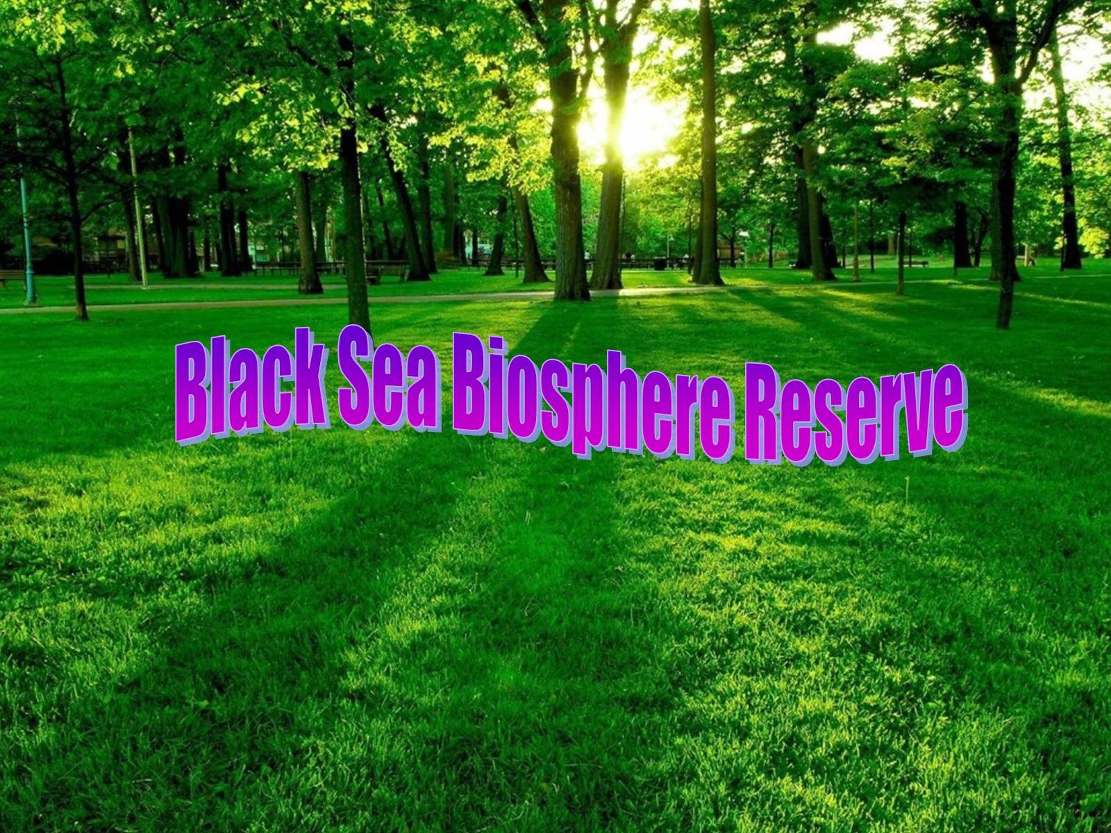 Презентація на тему «Black Sea Biosphere Reserve» - Слайд #1 Презентація на тему «Black Sea Biosphere Reserve» - Слайд #1