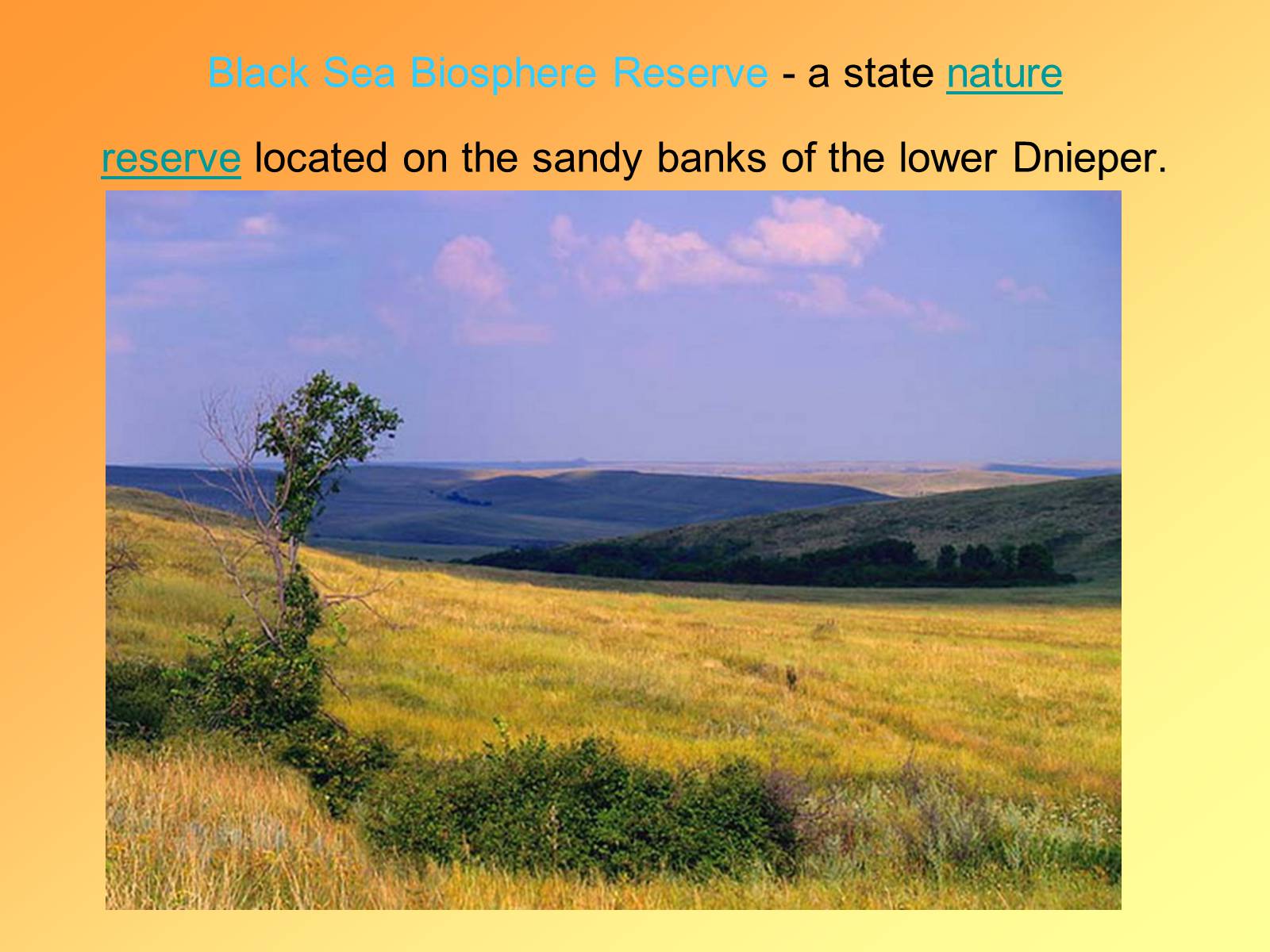 Презентація на тему «Black Sea Biosphere Reserve» - Слайд #2 Презентація на тему «Black Sea Biosphere Reserve» - Слайд #2