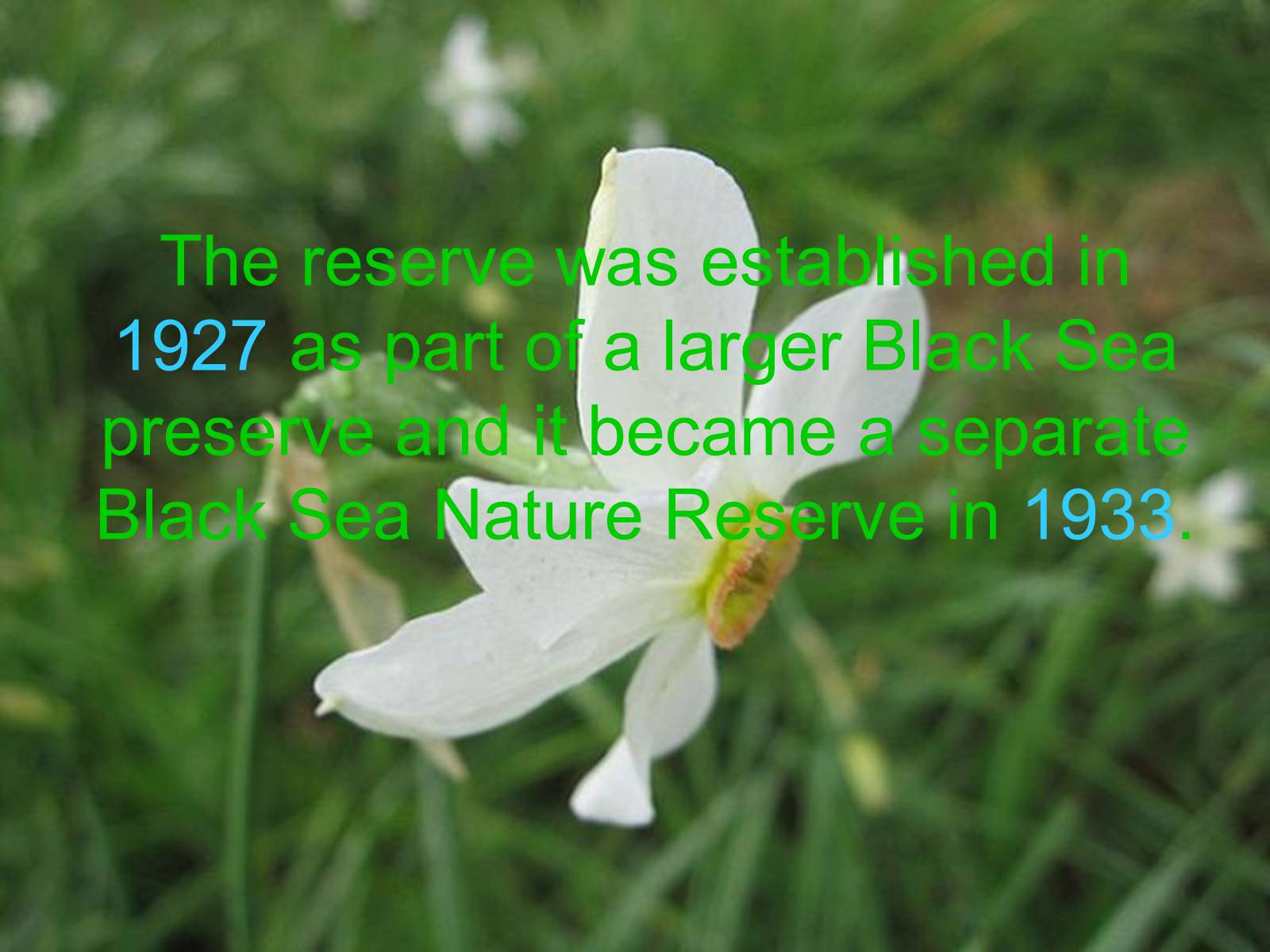 Презентація на тему «Black Sea Biosphere Reserve» - Слайд #3 Презентація на тему «Black Sea Biosphere Reserve» - Слайд #3