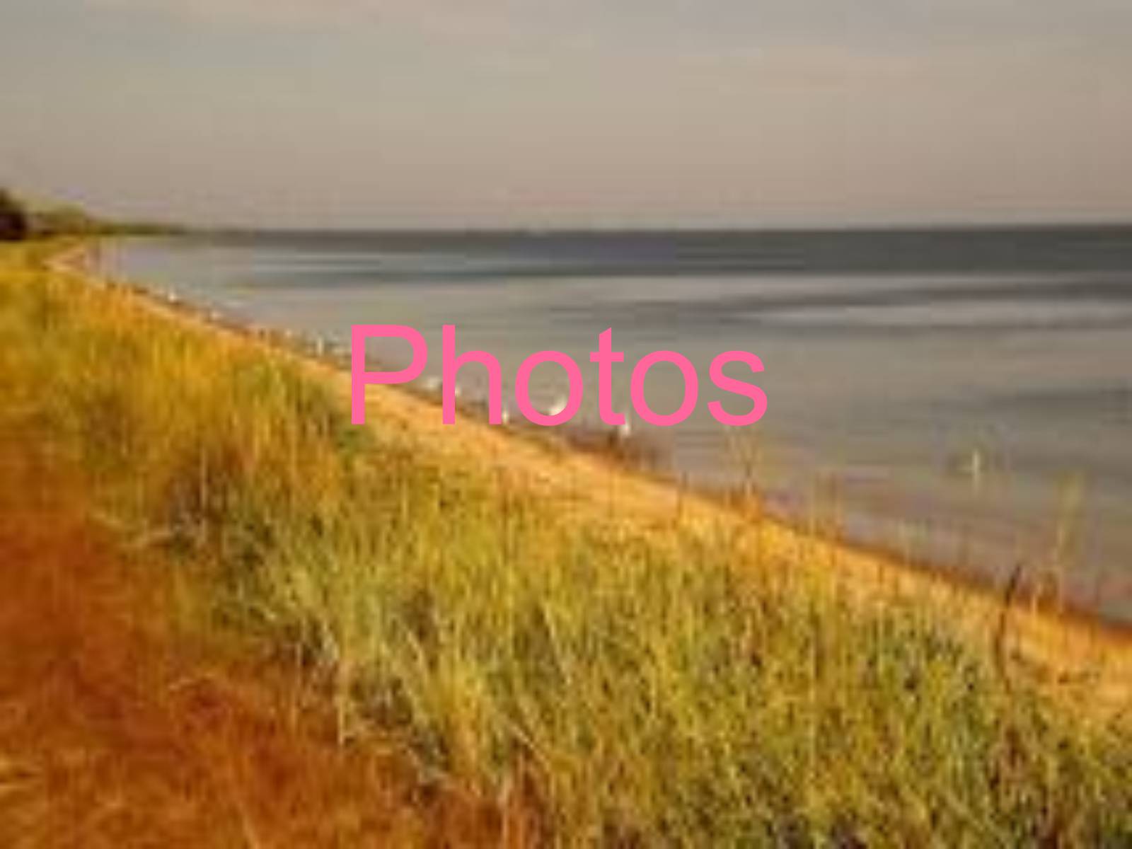 Презентація на тему «Black Sea Biosphere Reserve» - Слайд #7 Презентація на тему «Black Sea Biosphere Reserve» - Слайд #7