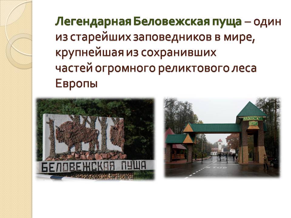 Презентація на тему «Беларусь» (варіант 2) - Слайд #9 Презентація на тему «Беларусь» (варіант 2) - Слайд #9
