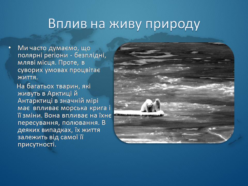 Презентація на тему «Морська крига» (варіант 1) - Слайд #7 Презентація на тему «Морська крига» (варіант 1) - Слайд #7