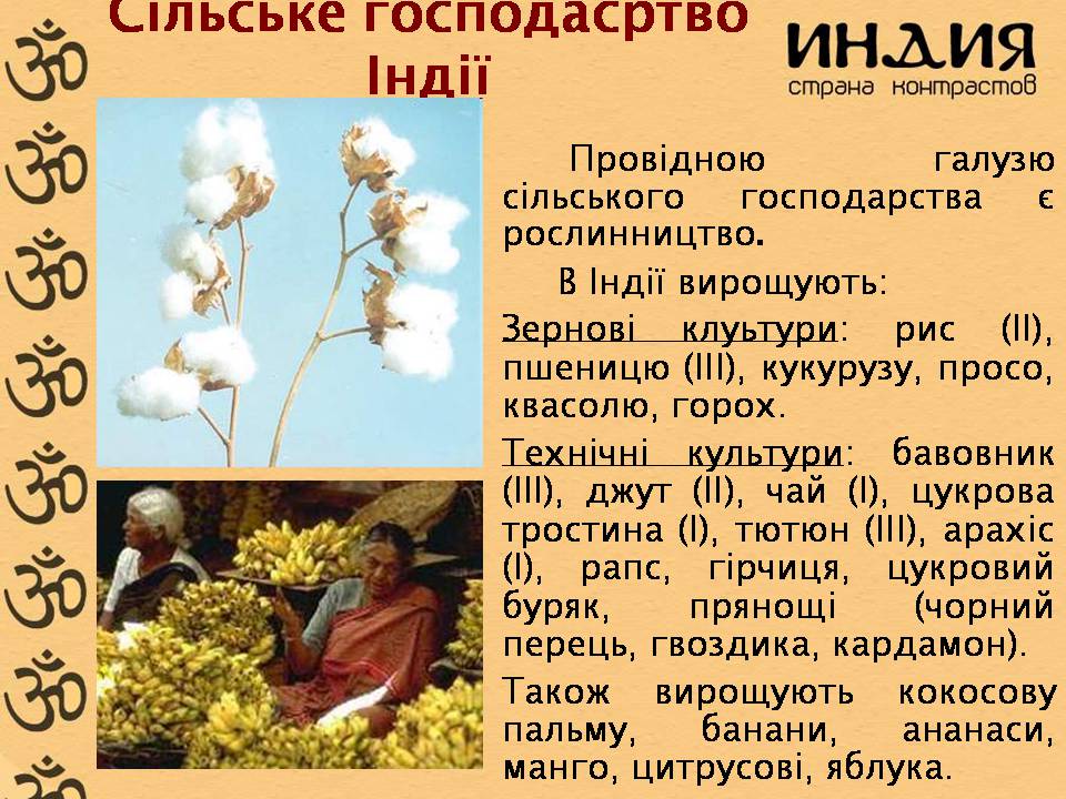 Презентація на тему «Характеристика Індії» (варіант 3) - Слайд #14 Презентація на тему «Характеристика Індії» (варіант 3) - Слайд #14