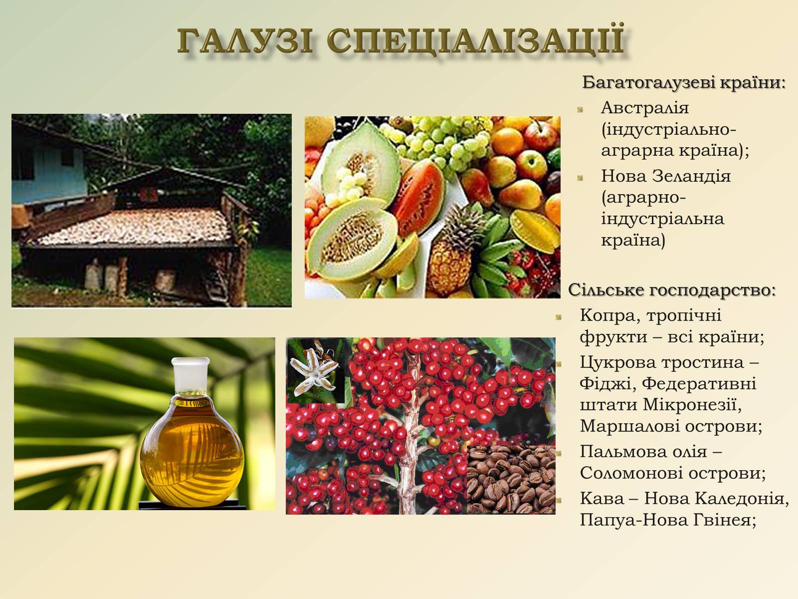 Презентація на тему «Австралія та Океанія» (варіант 1) - Слайд #10 Презентація на тему «Австралія та Океанія» (варіант 1) - Слайд #10