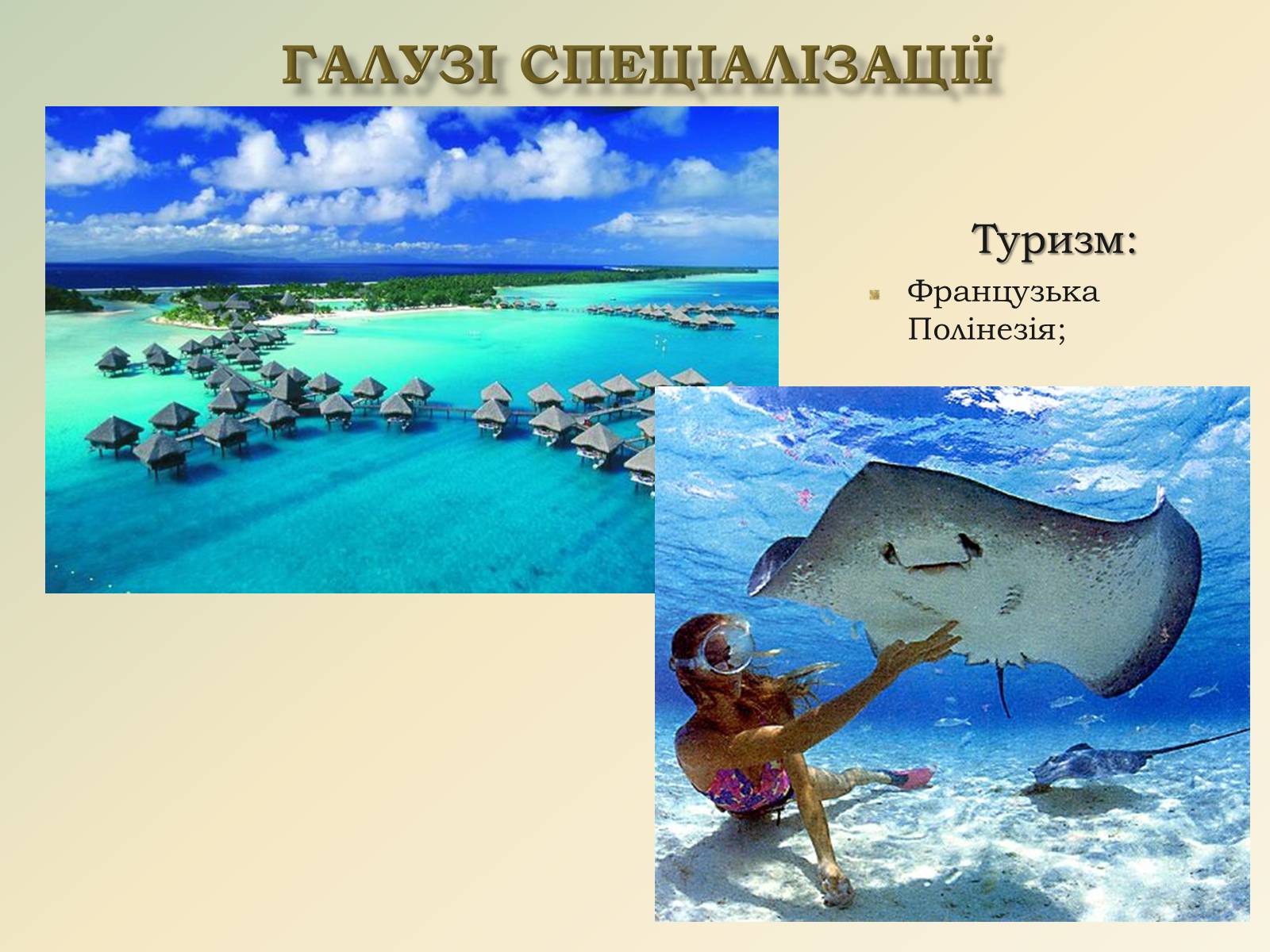Презентація на тему «Австралія та Океанія» (варіант 1) - Слайд #14 Презентація на тему «Австралія та Океанія» (варіант 1) - Слайд #14