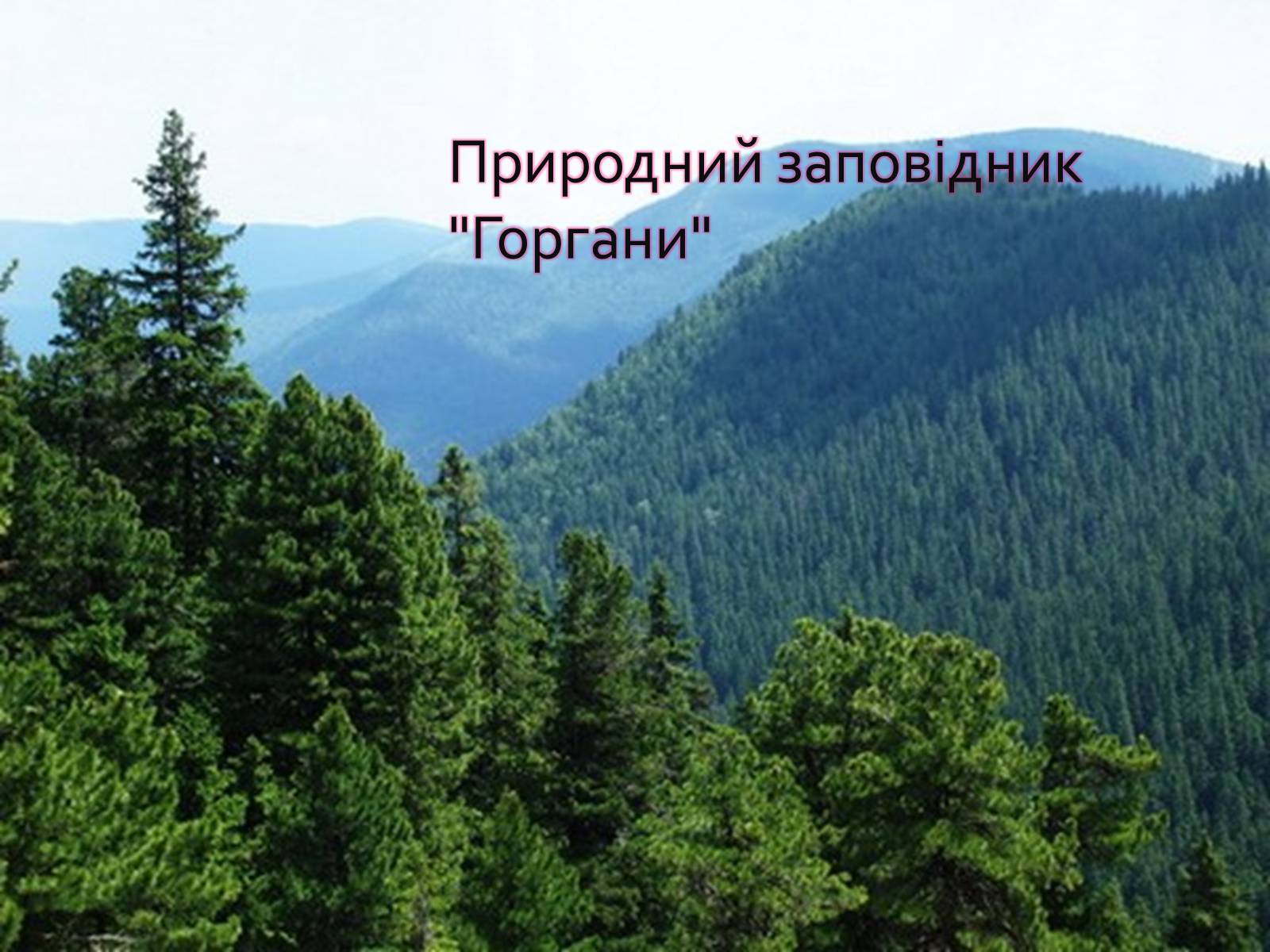 Презентація на тему «Горгани» - Слайд #1 Презентація на тему «Горгани» - Слайд #1