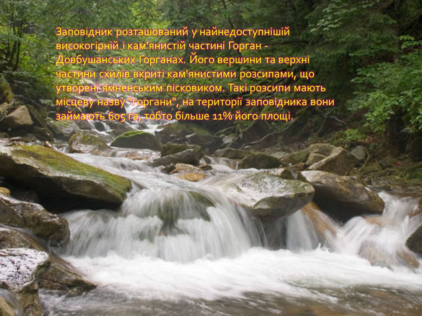 Презентація на тему «Горгани» - Слайд #2 Презентація на тему «Горгани» - Слайд #2