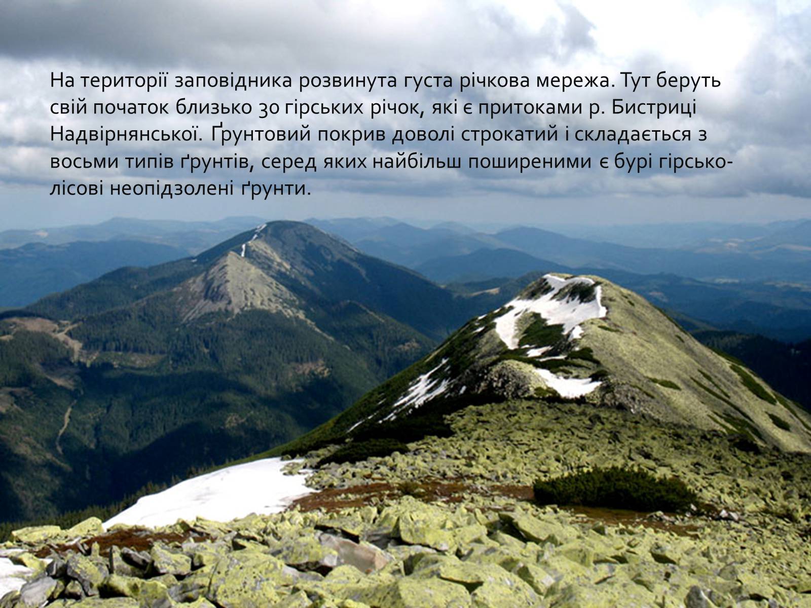 Презентація на тему «Горгани» - Слайд #3 Презентація на тему «Горгани» - Слайд #3