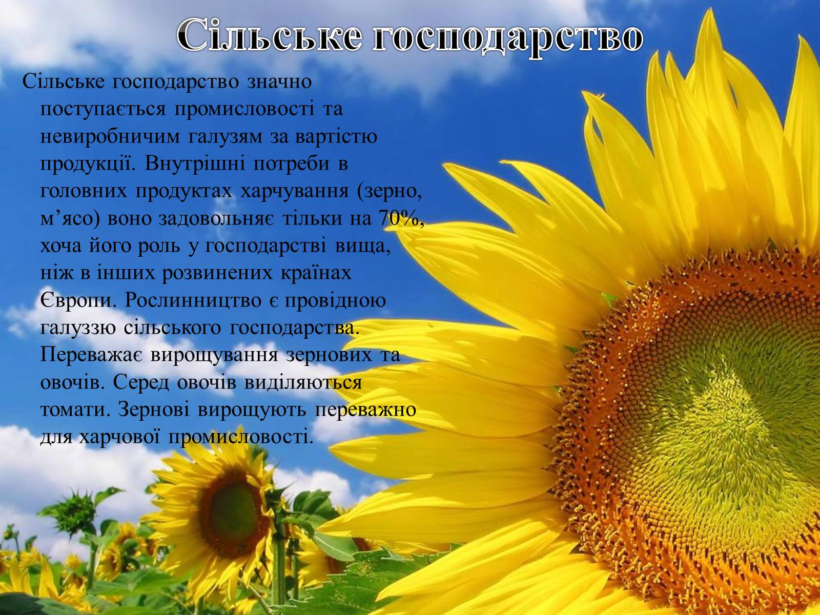 Презентація на тему «Італія» (варіант 16) - Слайд #18 Презентація на тему «Італія» (варіант 16) - Слайд #18