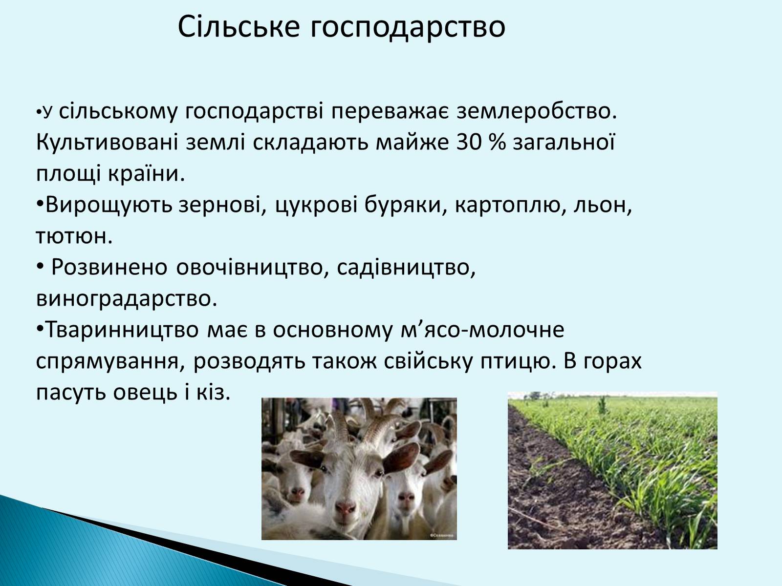 Презентація на тему «Республіка Словаччина» (варіант 6) - Слайд #14 Презентація на тему «Республіка Словаччина» (варіант 6) - Слайд #14
