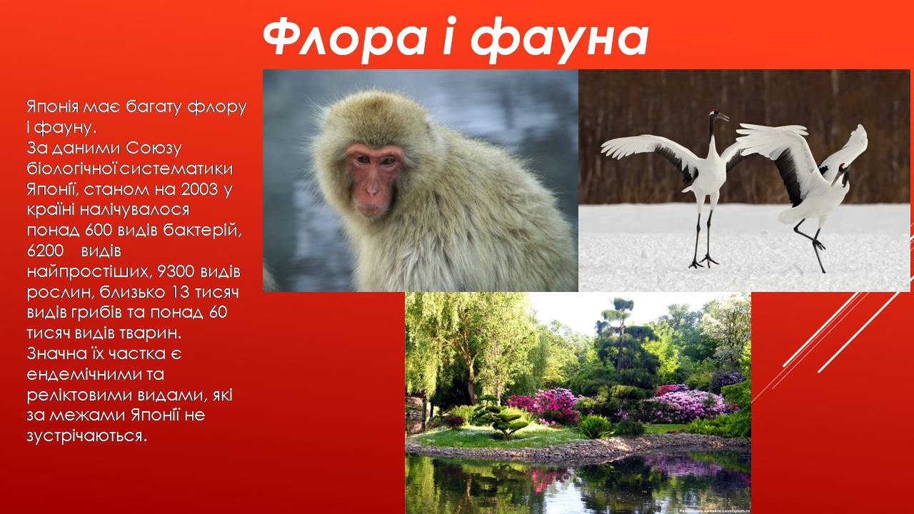 Презентація на тему «Японія» (варіант 56) - Слайд #5 Презентація на тему «Японія» (варіант 56) - Слайд #5