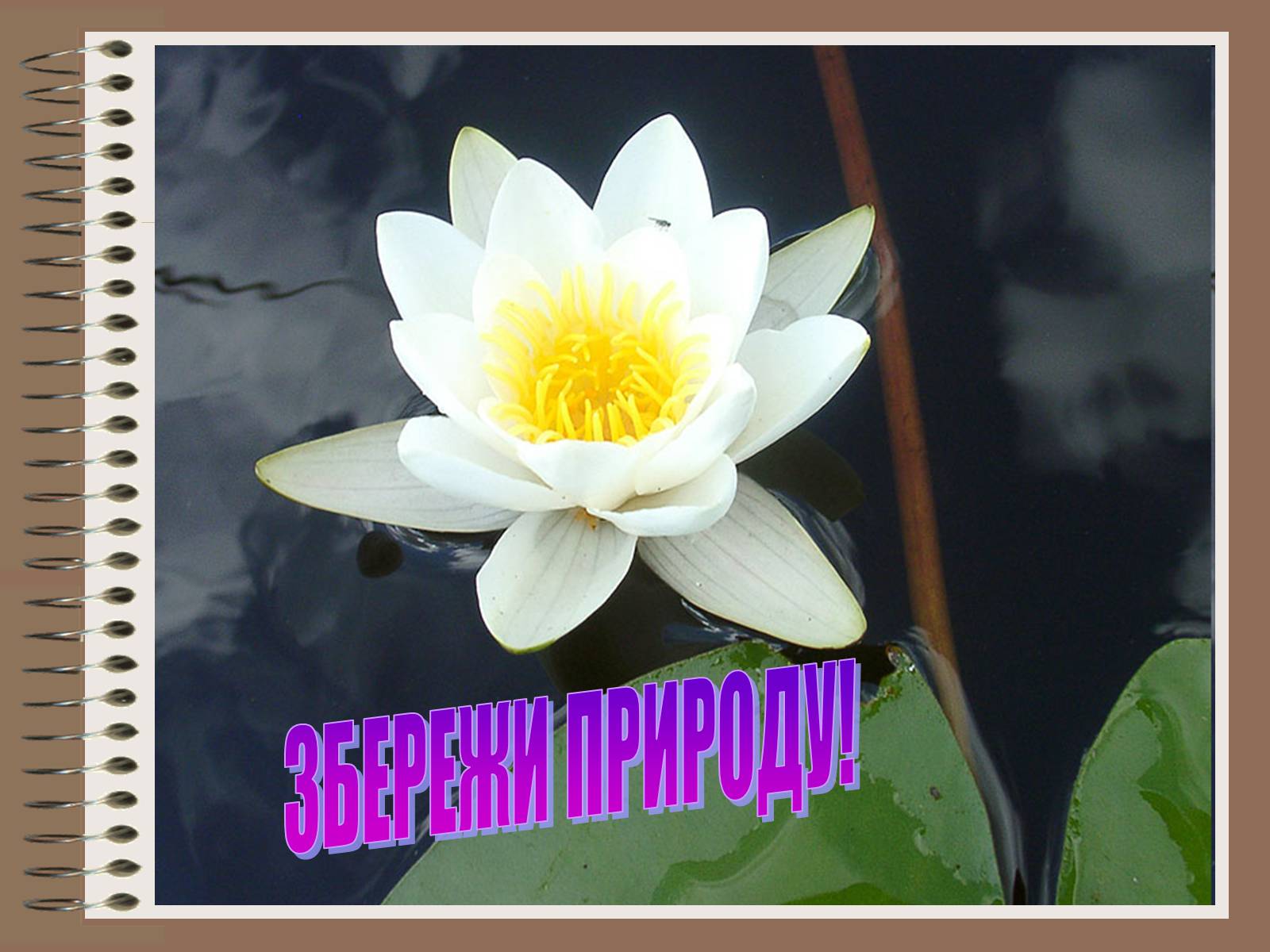 Презентація на тему «Людина і біосфера» (варіант 1) - Слайд #18 Презентація на тему «Людина і біосфера» (варіант 1) - Слайд #18