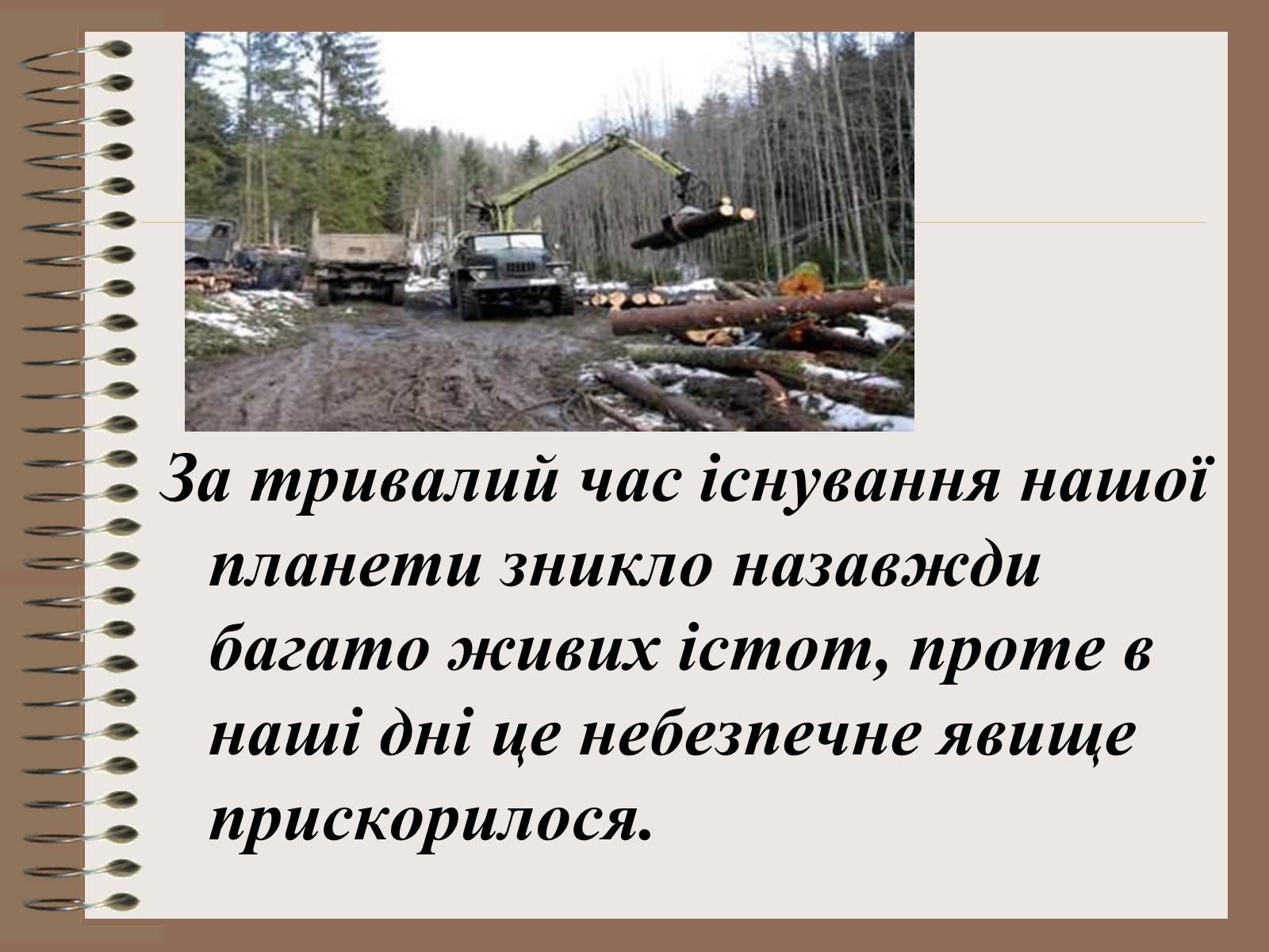Презентація на тему «Людина і біосфера» (варіант 1) - Слайд #3 Презентація на тему «Людина і біосфера» (варіант 1) - Слайд #3