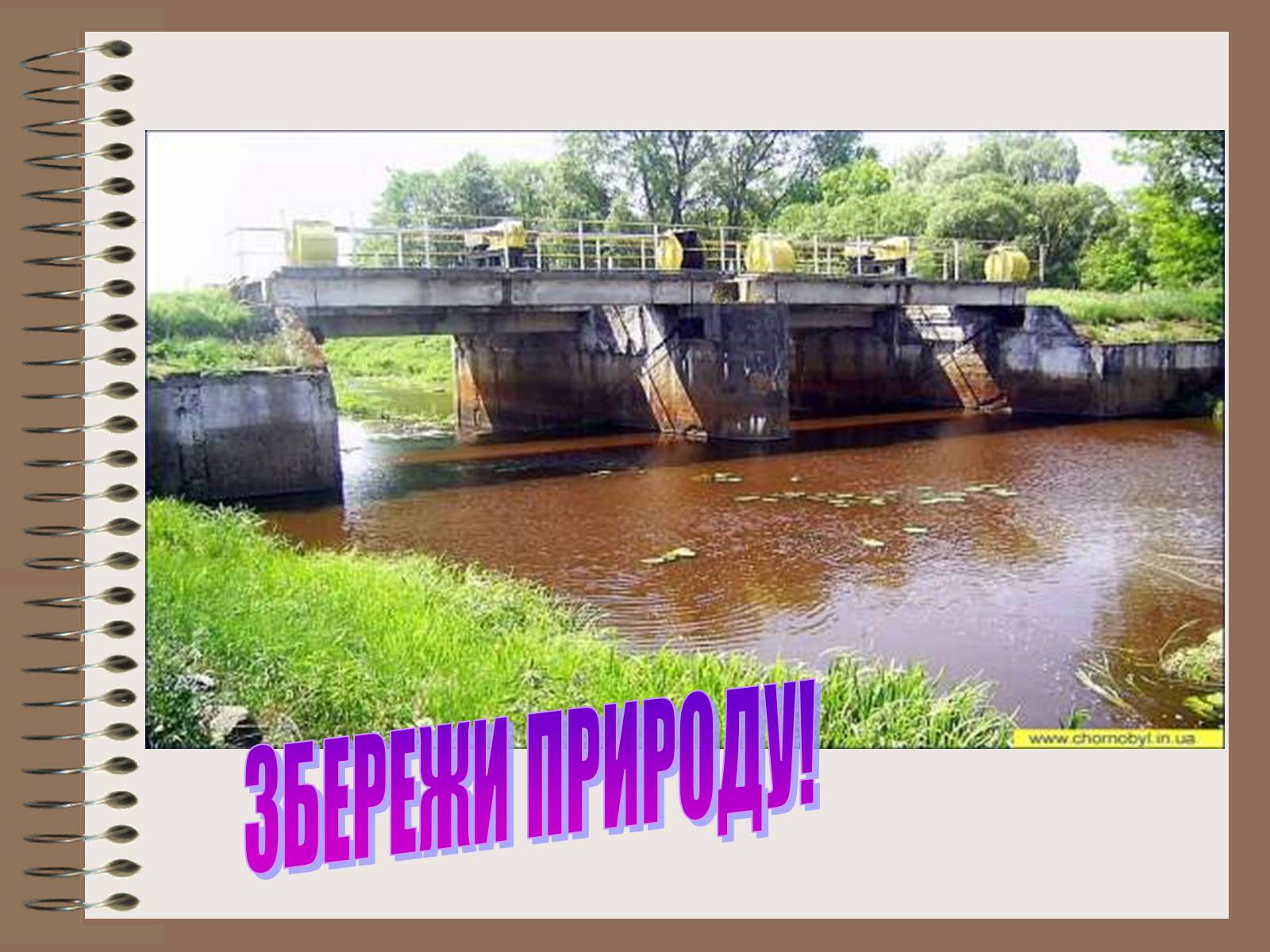 Презентація на тему «Людина і біосфера» (варіант 1) - Слайд #5 Презентація на тему «Людина і біосфера» (варіант 1) - Слайд #5