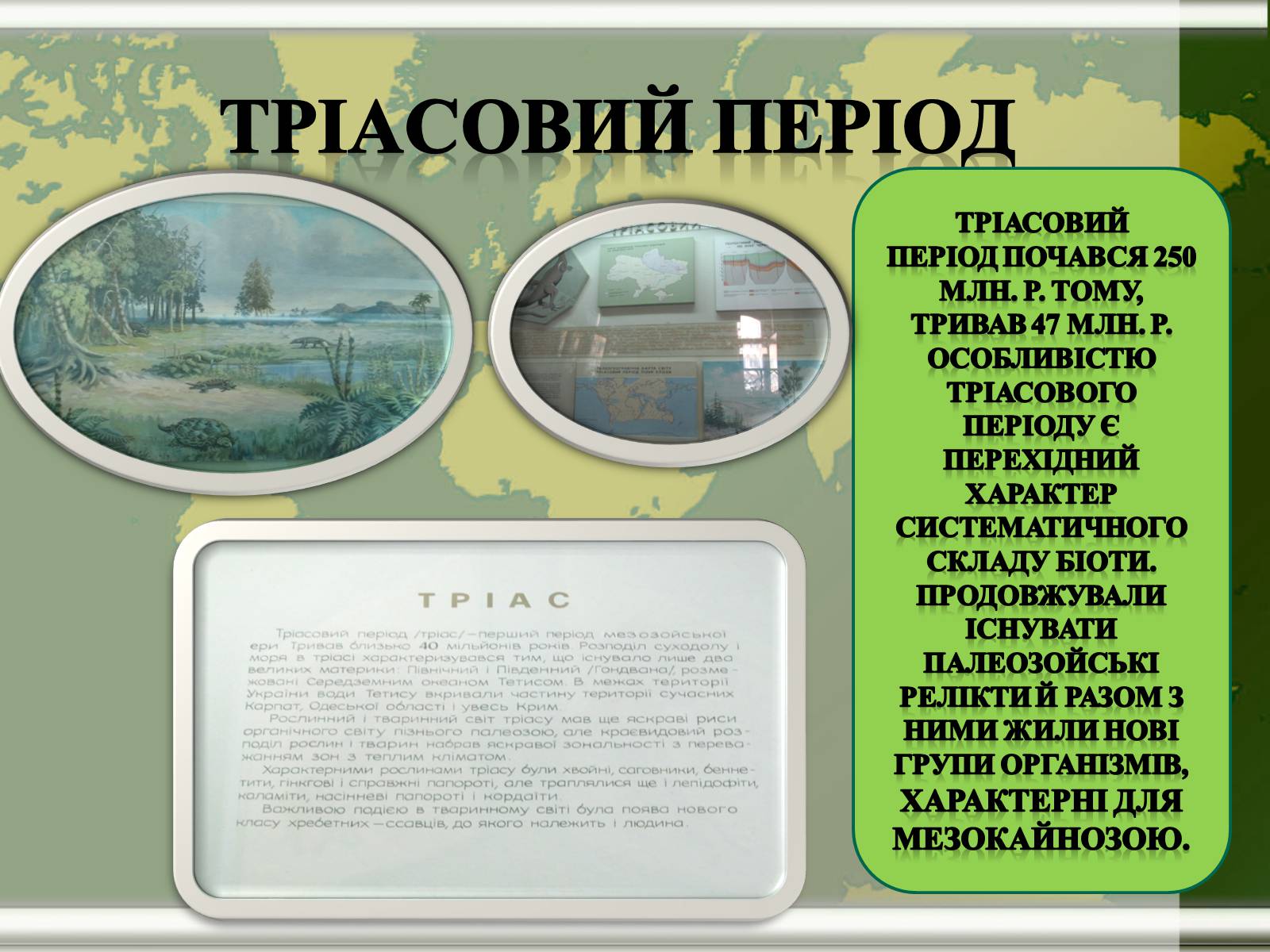 Презентація на тему «Мезозой» - Слайд #3 Презентація на тему «Мезозой» - Слайд #3
