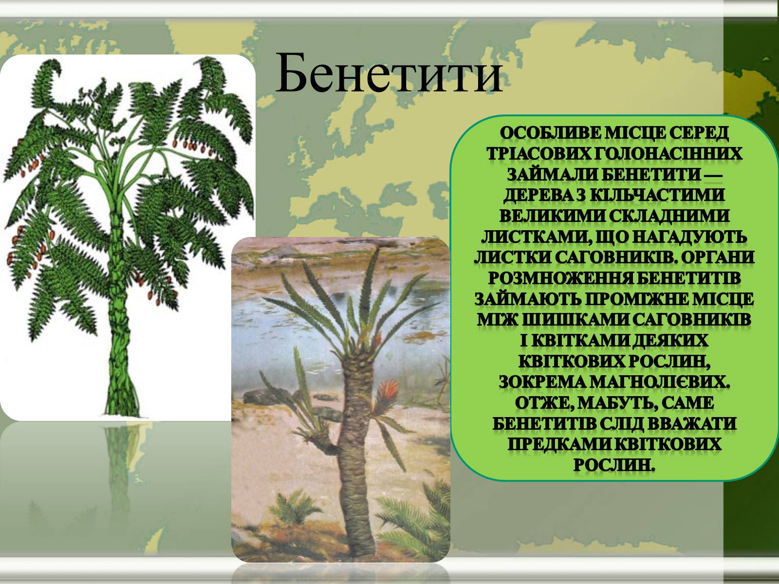 Презентація на тему «Мезозой» - Слайд #9 Презентація на тему «Мезозой» - Слайд #9