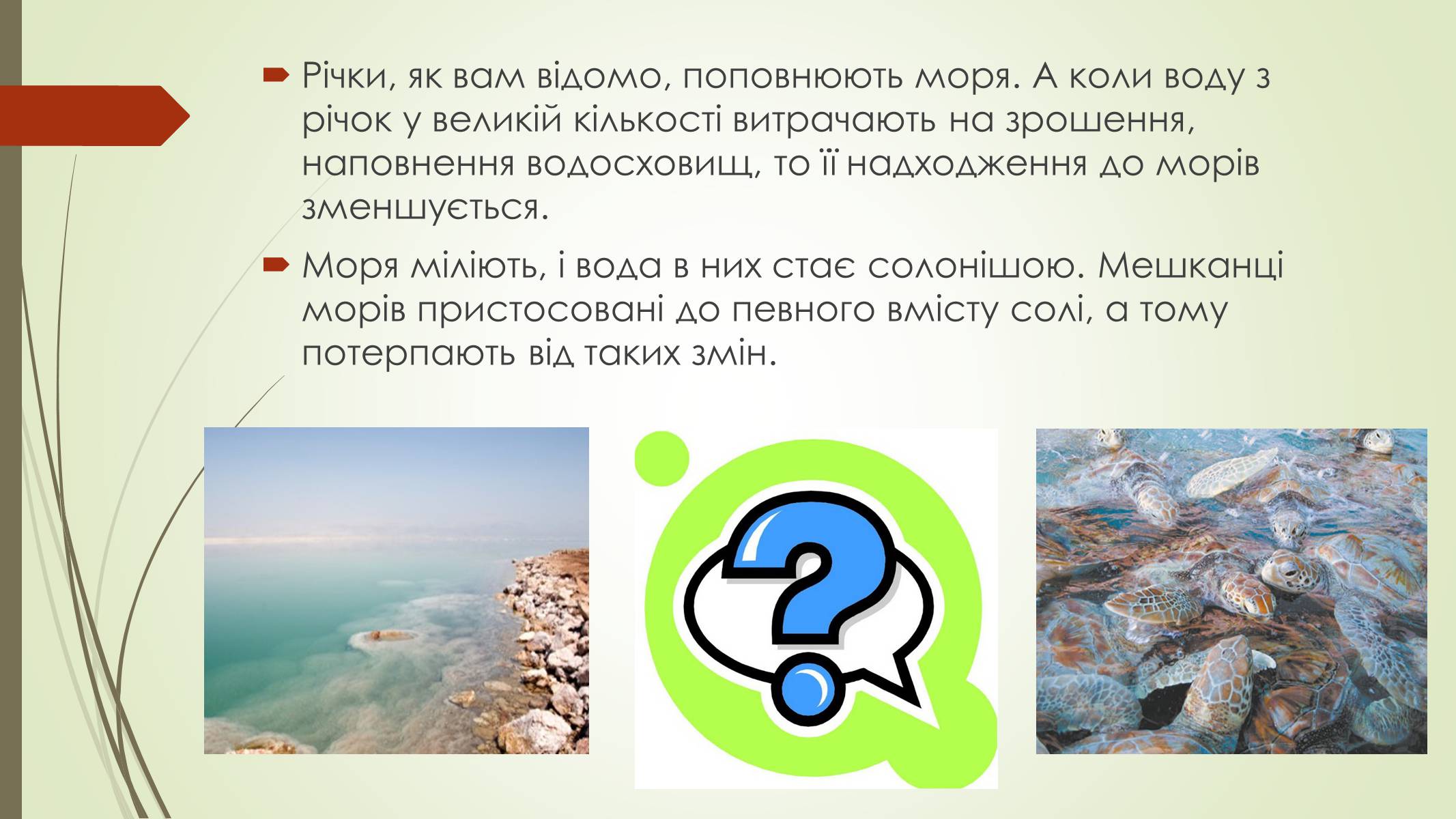 Презентація на тему «Людина та Біосфера» - Слайд #11 Презентація на тему «Людина та Біосфера» - Слайд #11