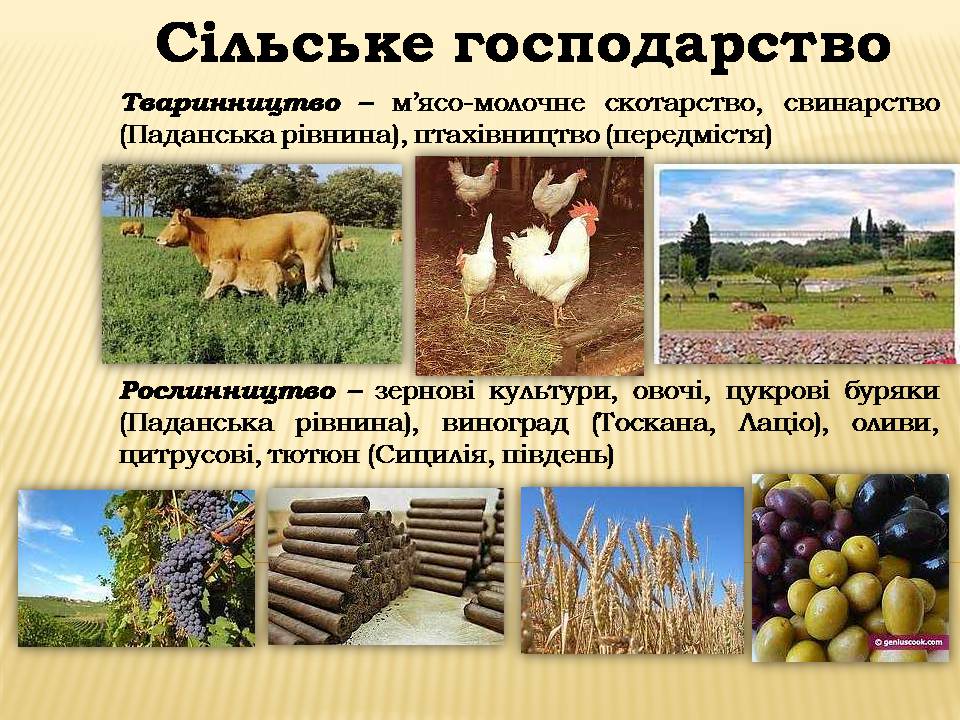 Презентація на тему «Італія» (варіант 40) - Слайд #32 Презентація на тему «Італія» (варіант 40) - Слайд #32