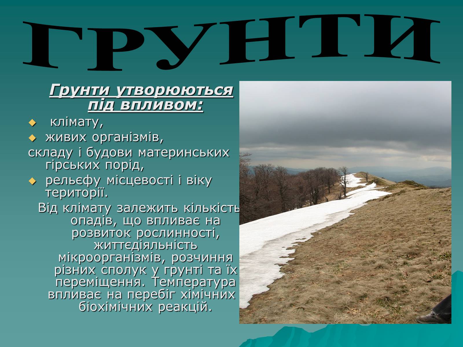 Презентація на тему «Українські Карпати» (варіант 1) - Слайд #14 Презентація на тему «Українські Карпати» (варіант 1) - Слайд #14